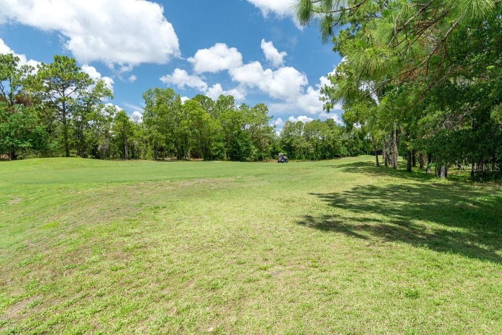 31 LAKE DIAMOND BLVD, OCALA, FL, 34472