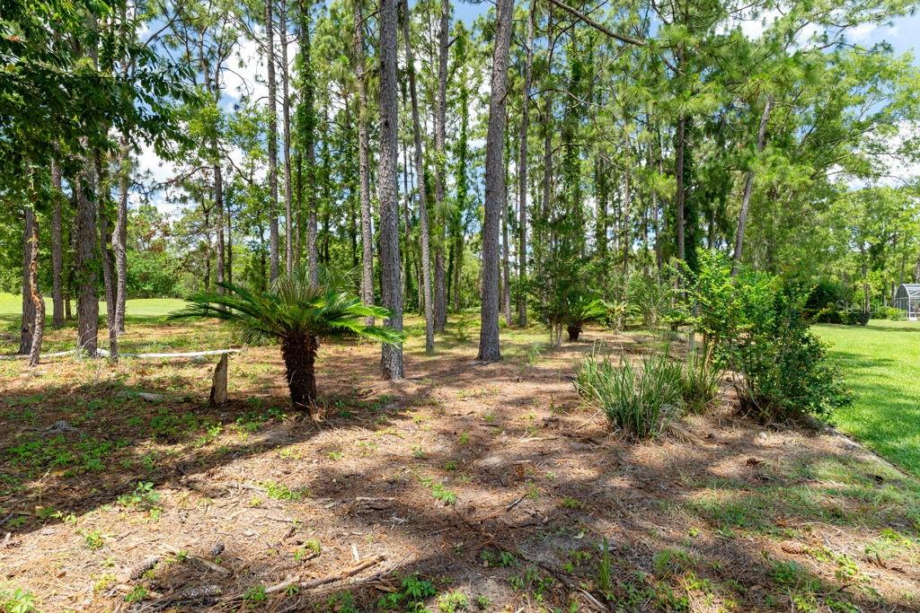 31 LAKE DIAMOND BLVD, OCALA, FL, 34472