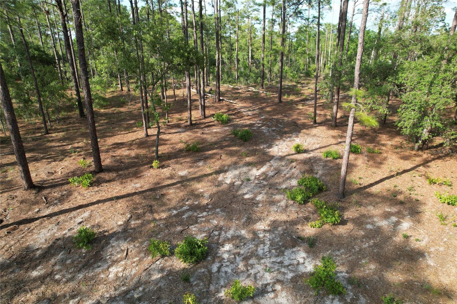 148TH CT, MORRISTON, FL, 32668