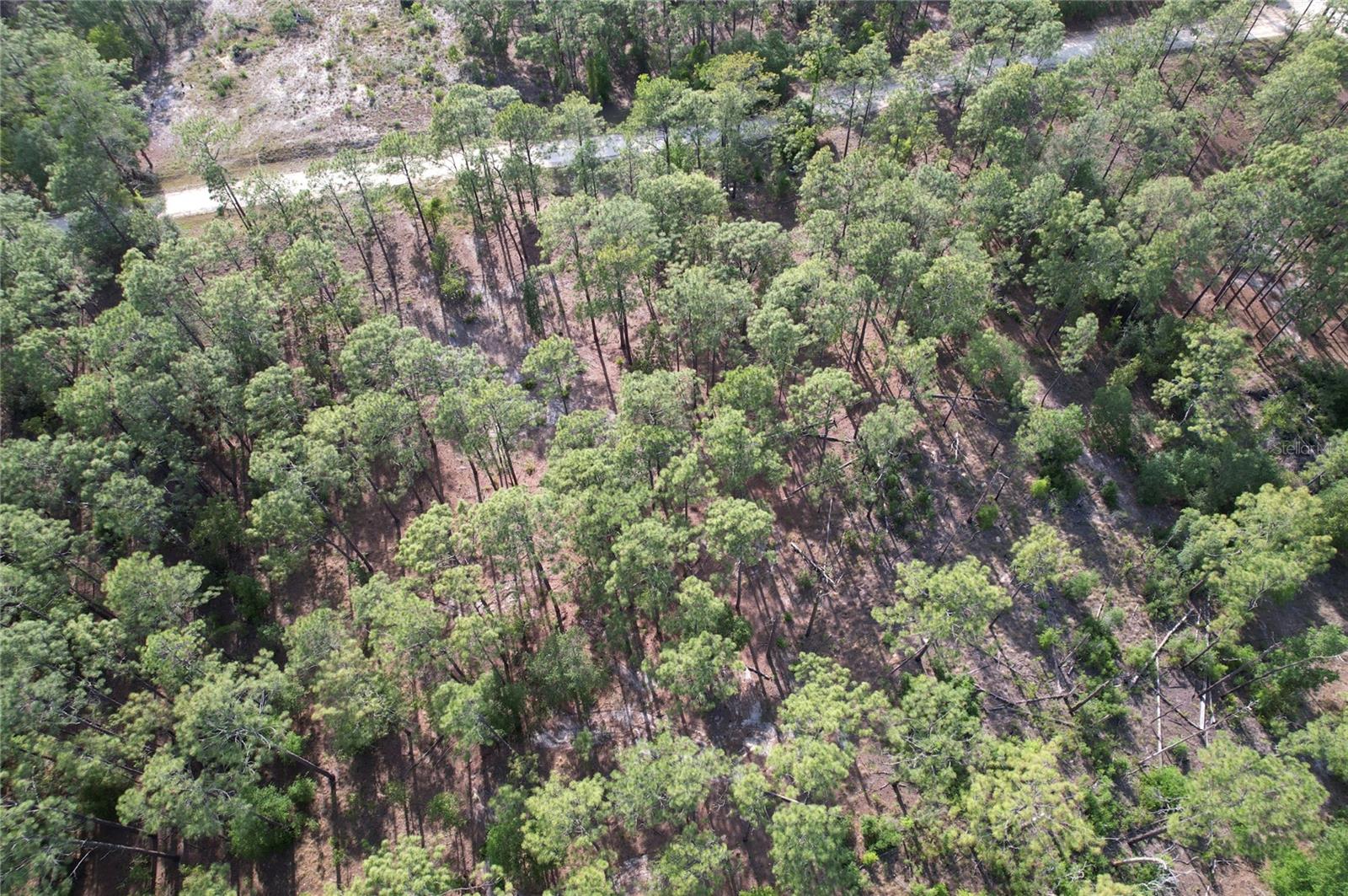 148TH CT, MORRISTON, FL, 32668