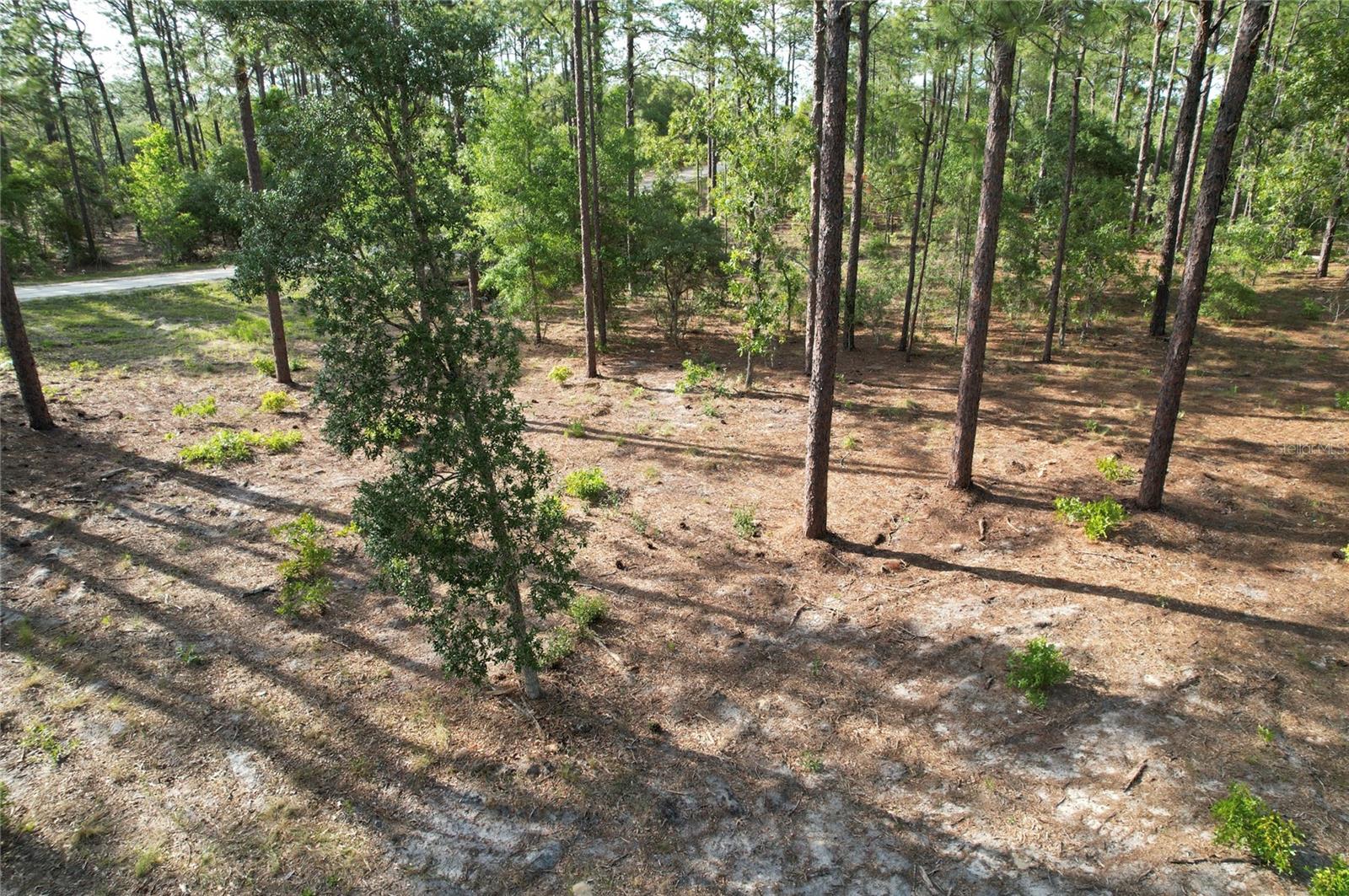 148TH CT, MORRISTON, FL, 32668