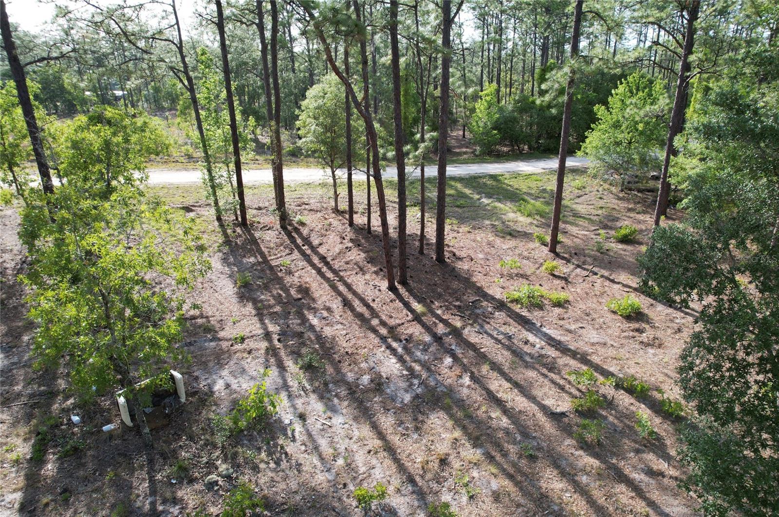 148TH CT, MORRISTON, FL, 32668