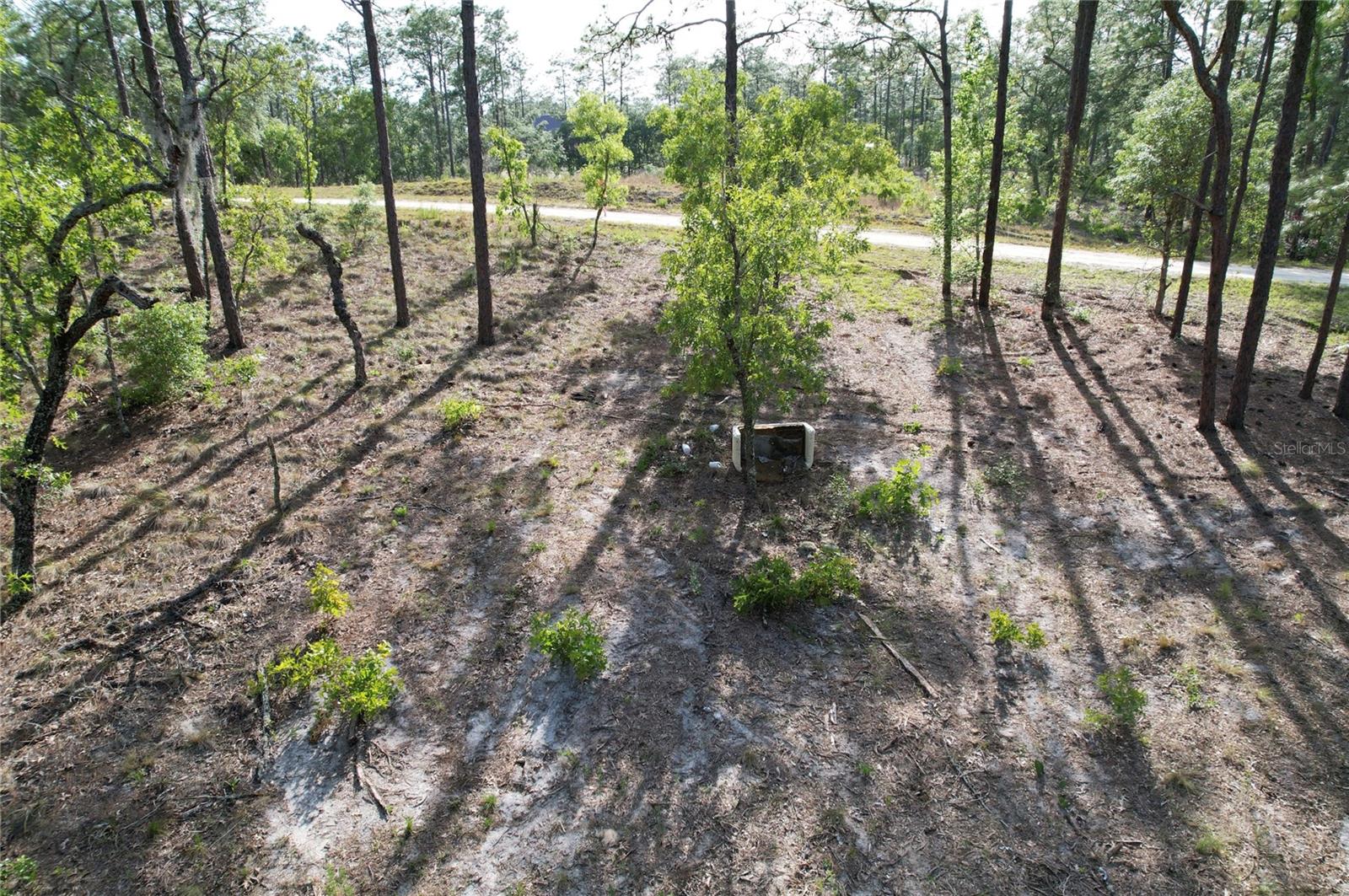 148TH CT, MORRISTON, FL, 32668