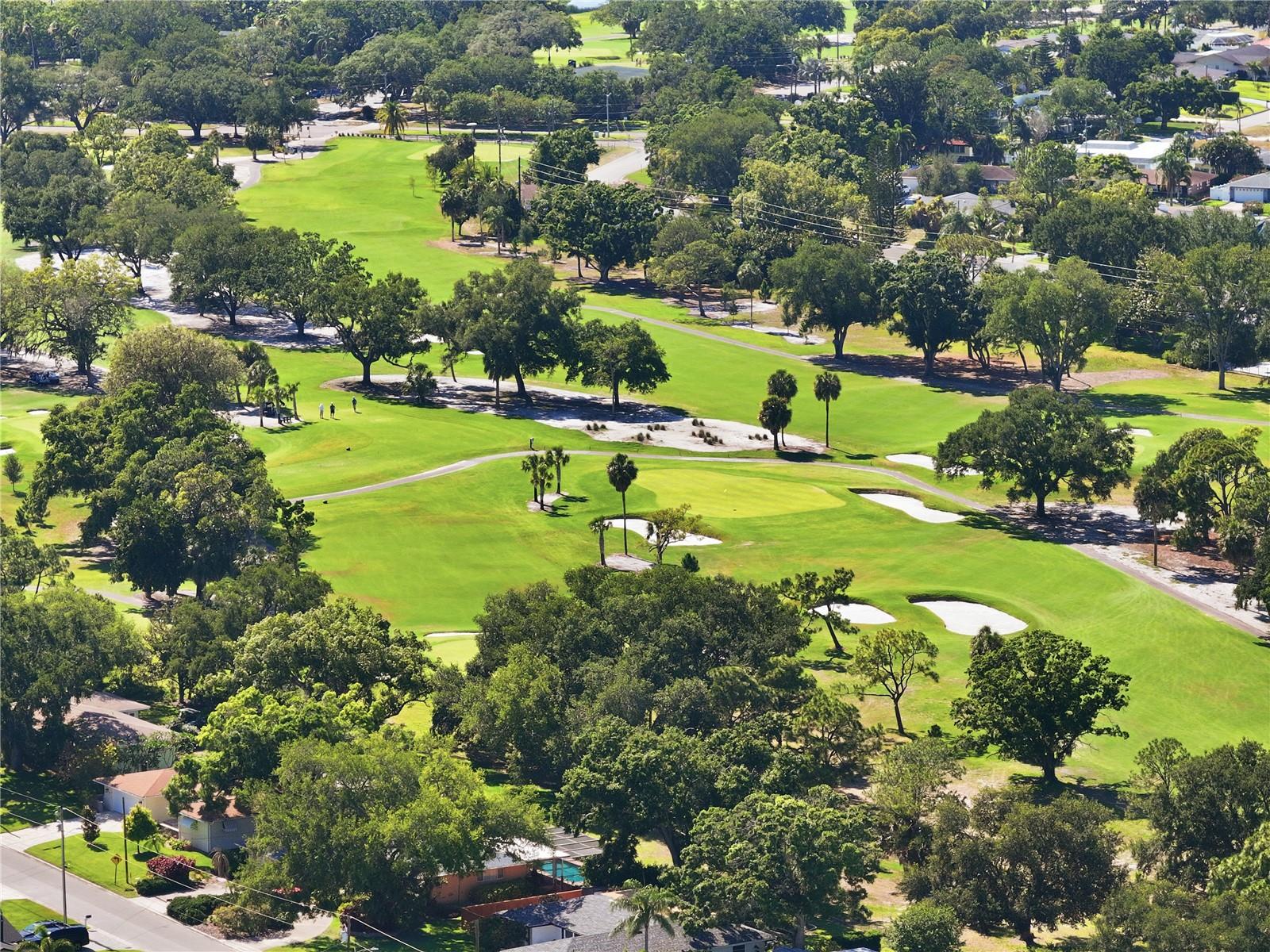 1300 MICHIGAN BLVD, DUNEDIN, FL, 34698