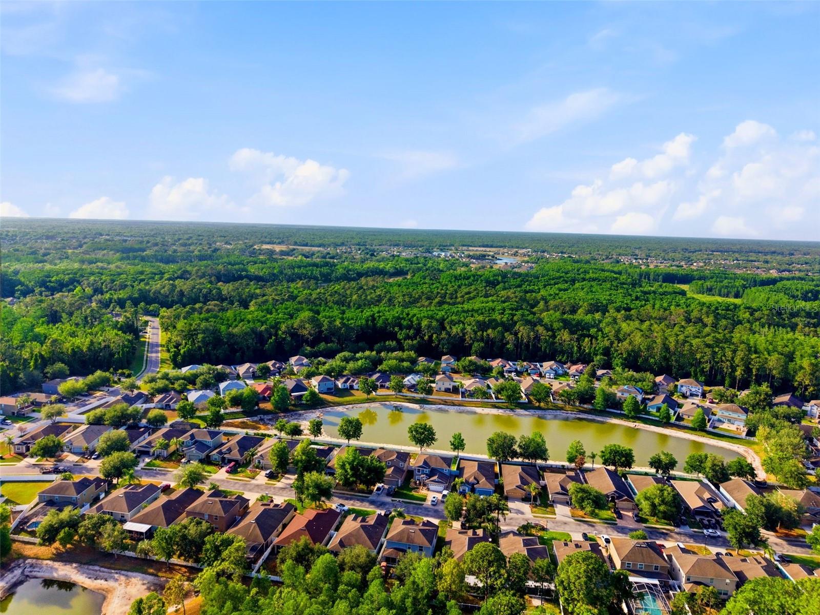 12832 SAULSTON PLACE, HUDSON, FL, 34669