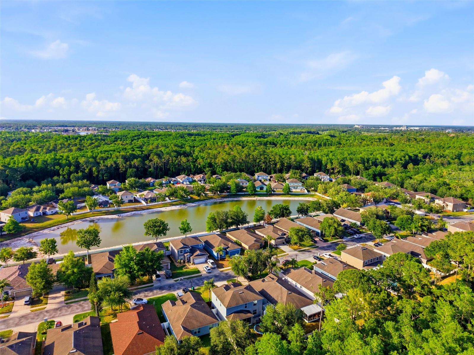 12832 SAULSTON PLACE, HUDSON, FL, 34669