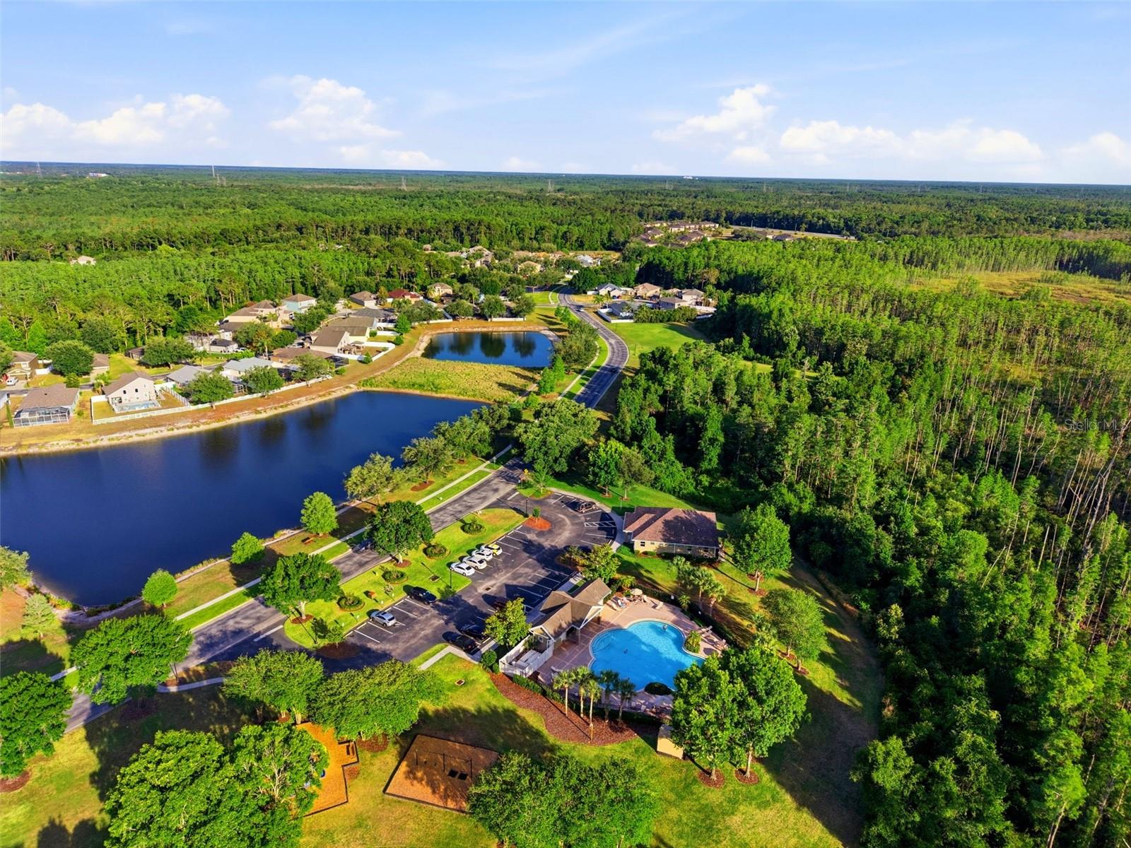 12832 SAULSTON PLACE, HUDSON, FL, 34669
