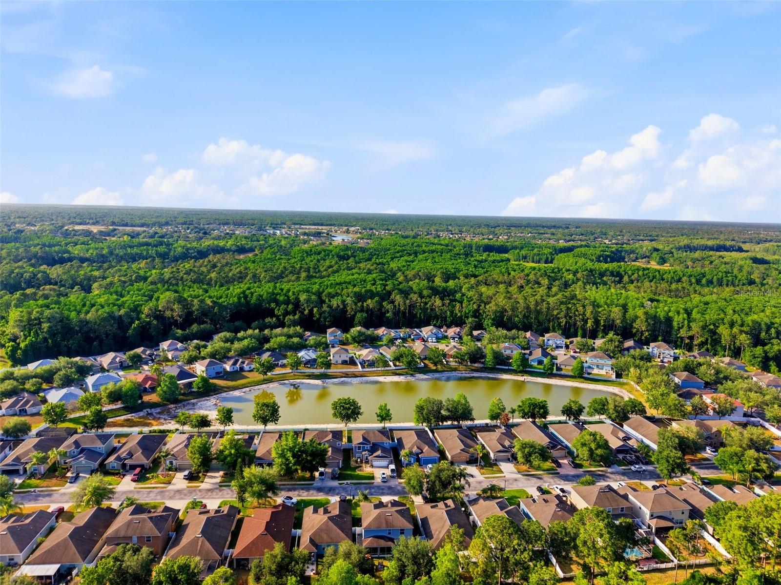12832 SAULSTON PLACE, HUDSON, FL, 34669