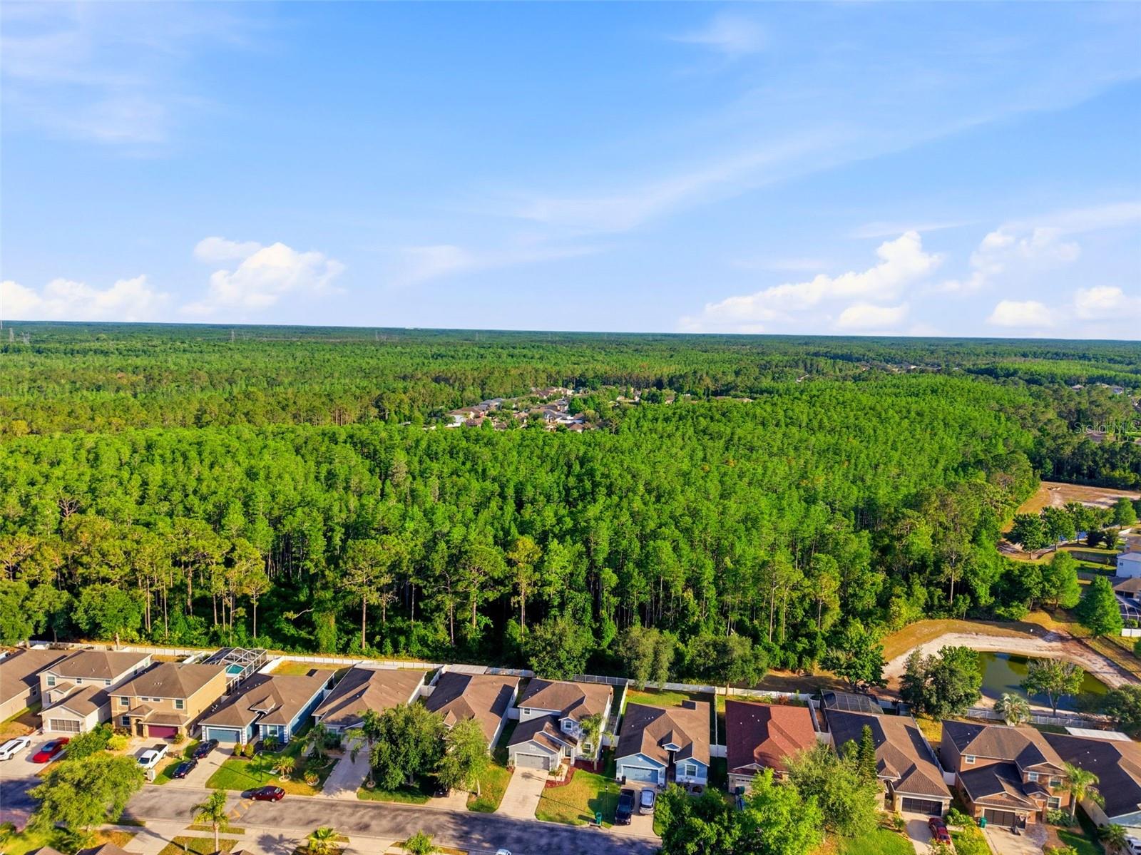12832 SAULSTON PLACE, HUDSON, FL, 34669