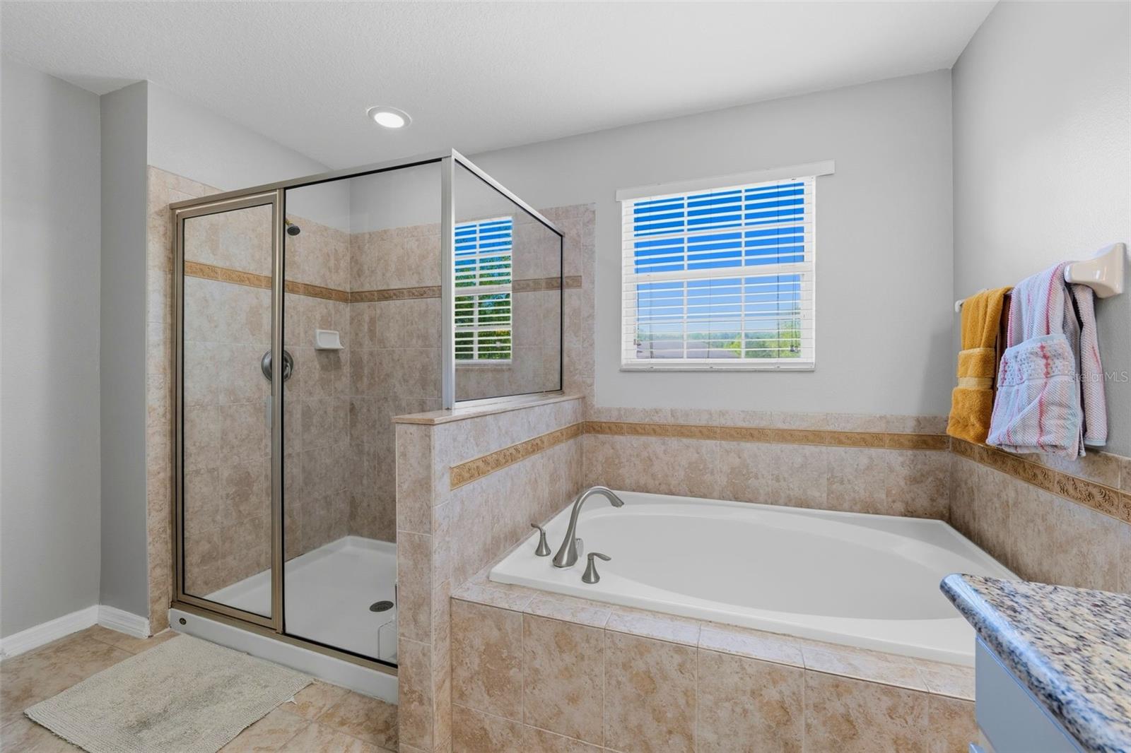 12832 SAULSTON PLACE, HUDSON, FL, 34669