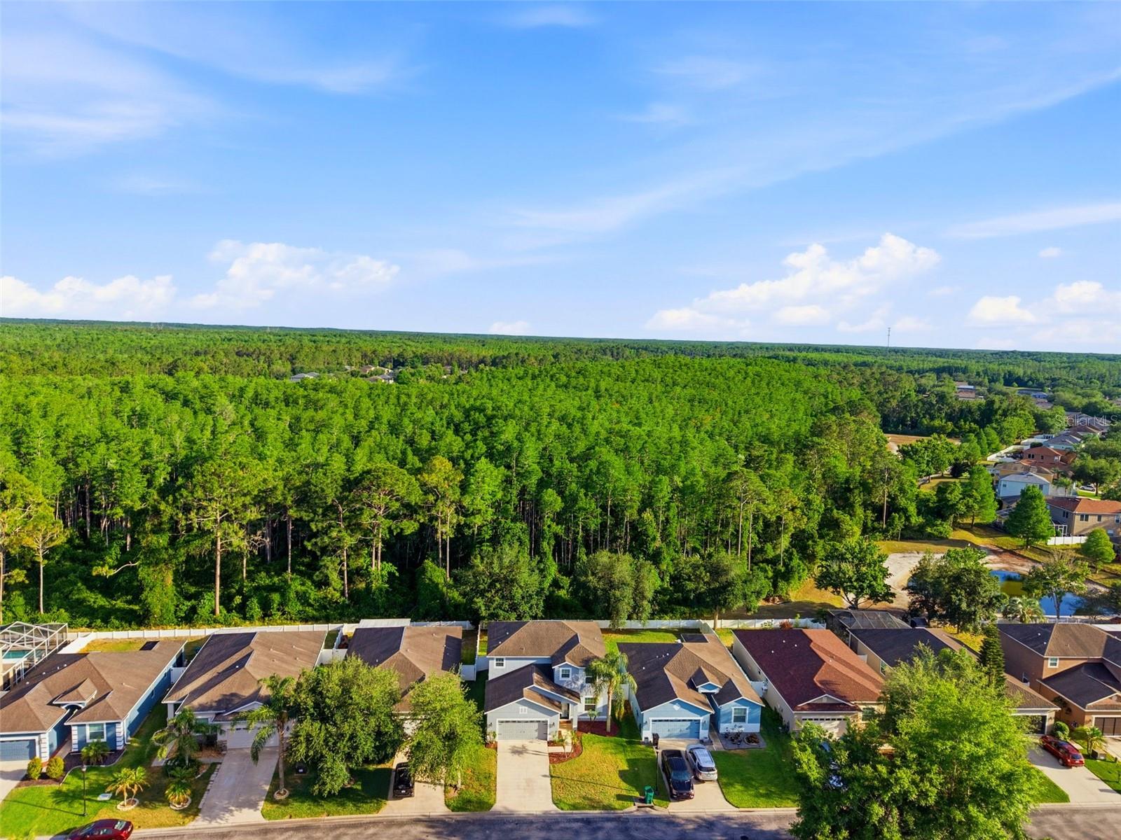 12832 SAULSTON PLACE, HUDSON, FL, 34669