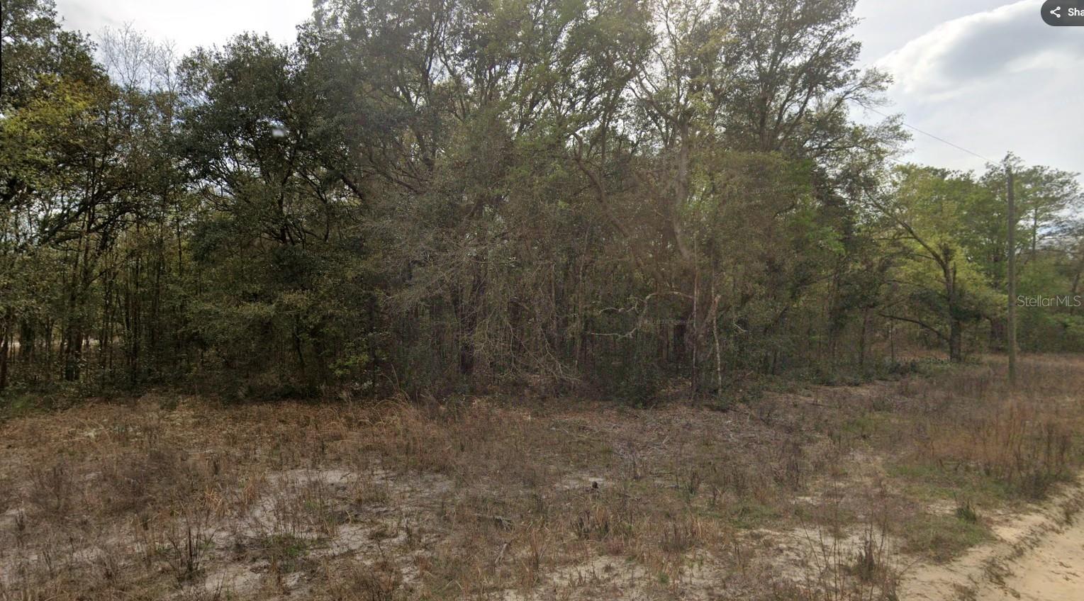 000 JERNIGAN ST, INTERLACHEN, FL, 32148
