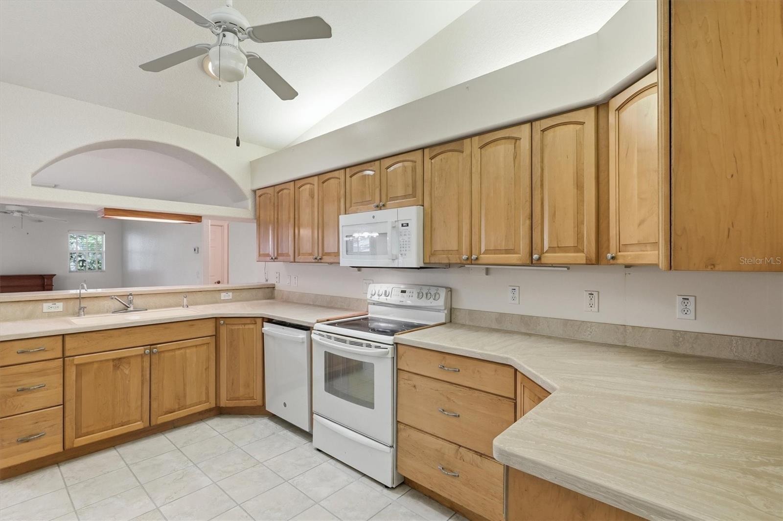 16248 SE 91ST CT, SUMMERFIELD, FL, 34491