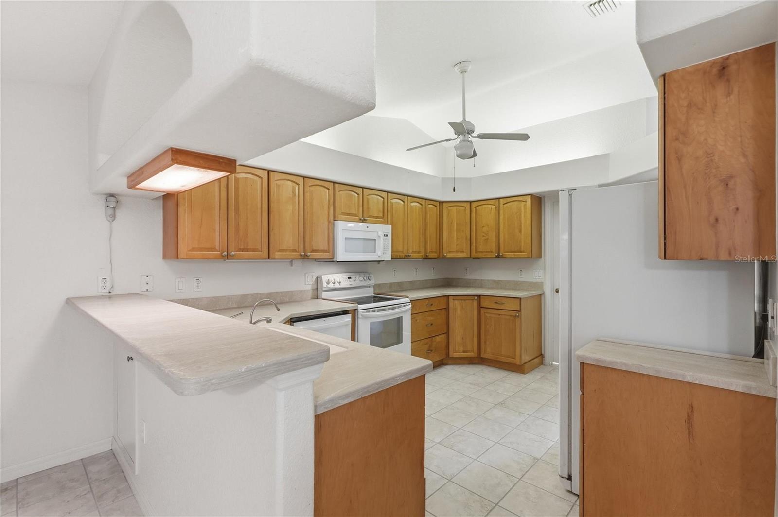 16248 SE 91ST CT, SUMMERFIELD, FL, 34491