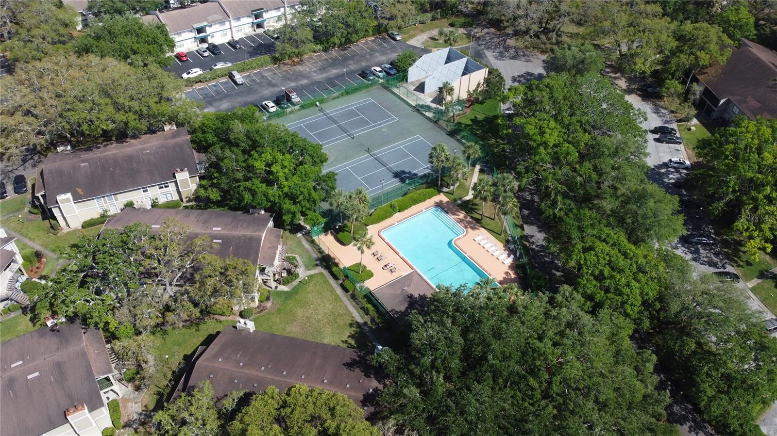 14317 HANGING MOSS CIR #101, TAMPA, FL, 33613