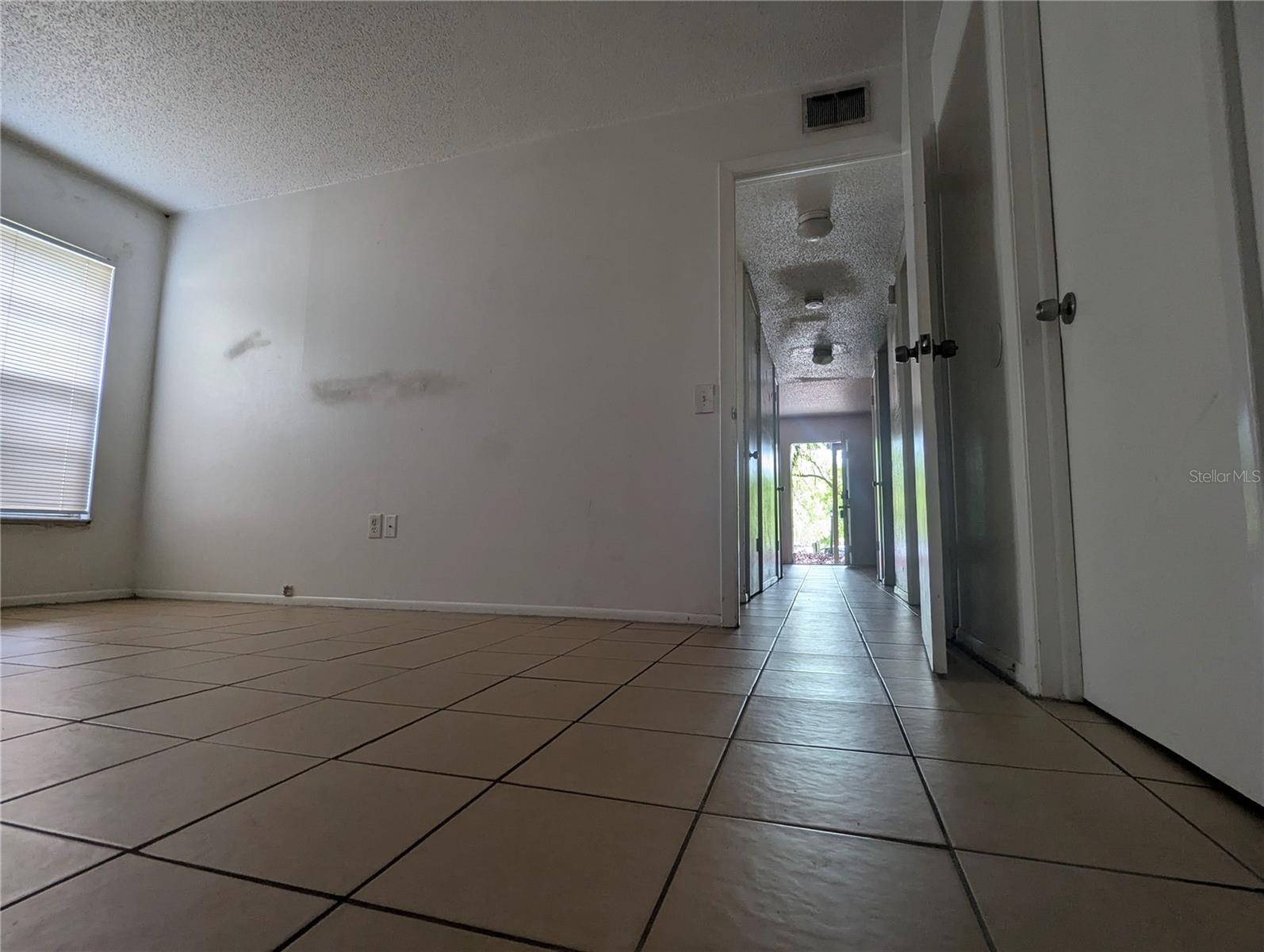 14317 HANGING MOSS CIR #101, TAMPA, FL, 33613