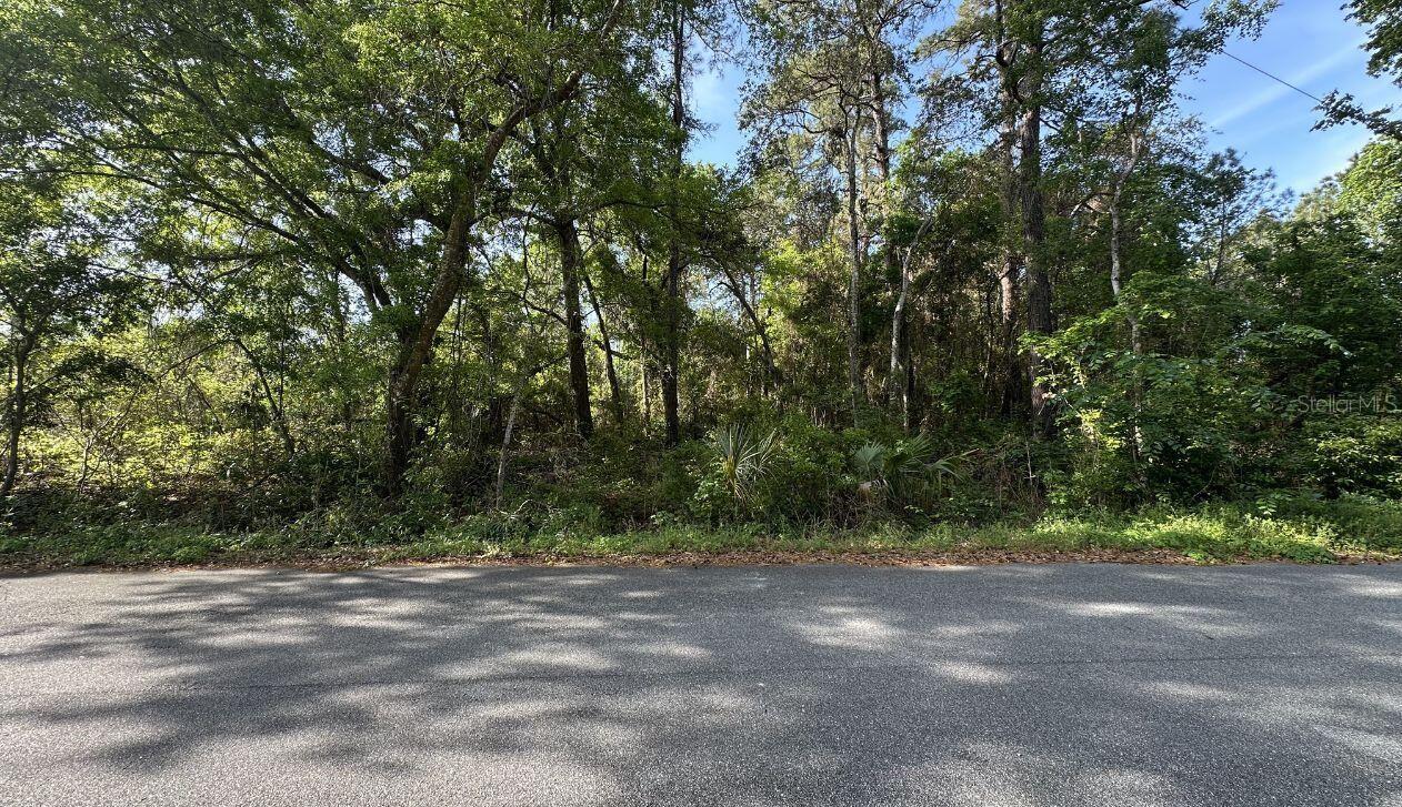 0 OAK LN WAY, OCALA, FL, 34472