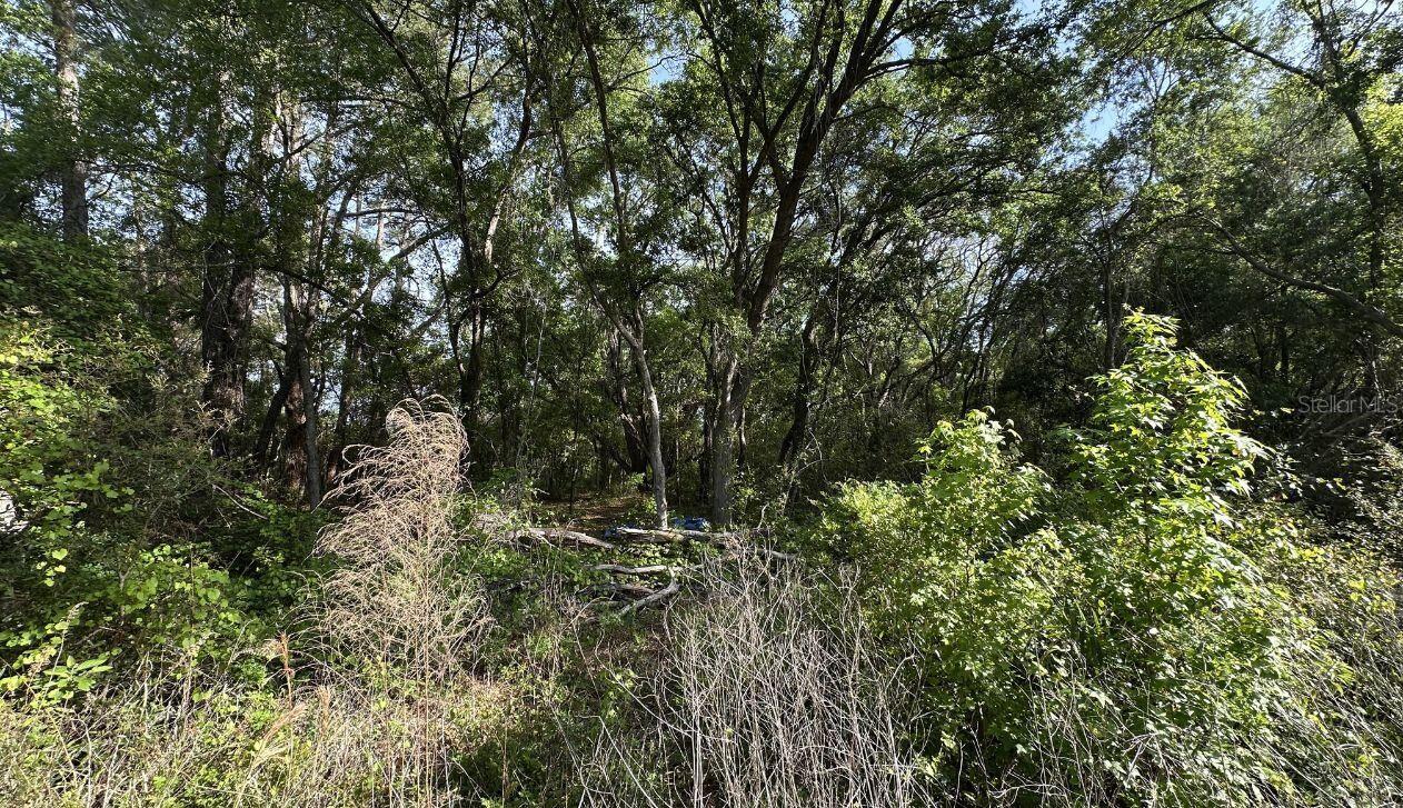 0 OAK LN WAY, OCALA, FL, 34472