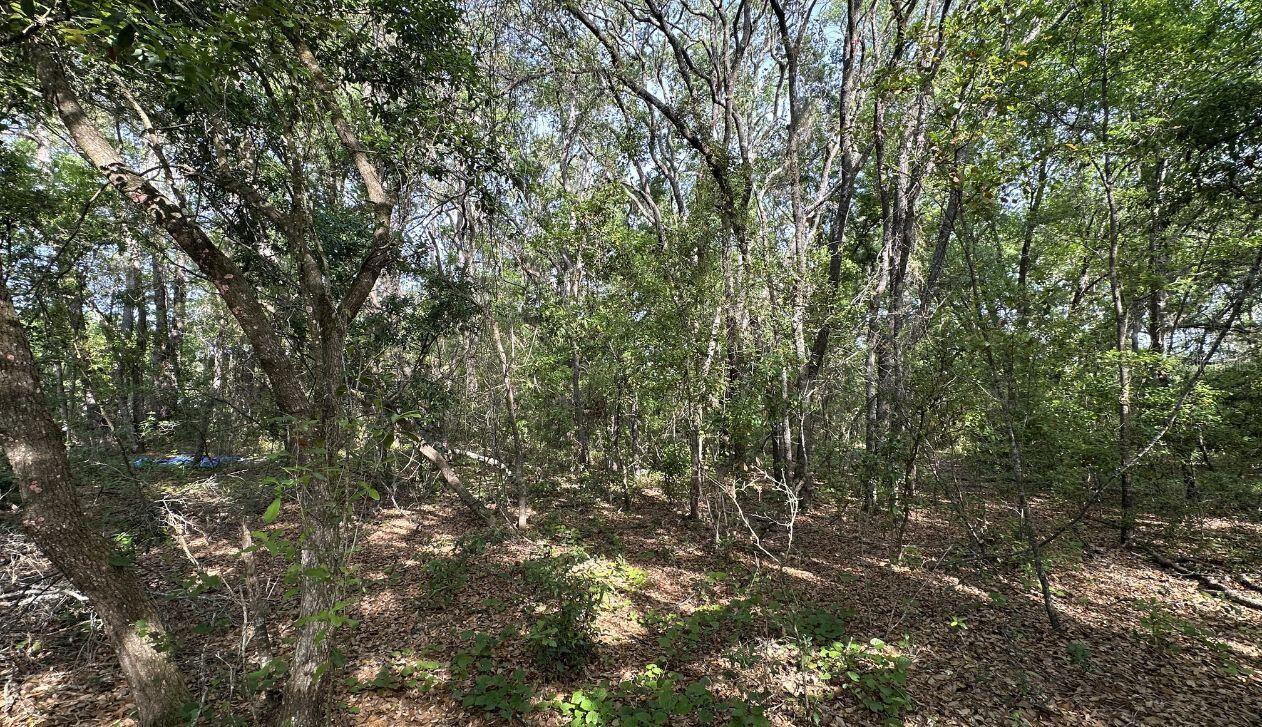 0 OAK LN WAY, OCALA, FL, 34472