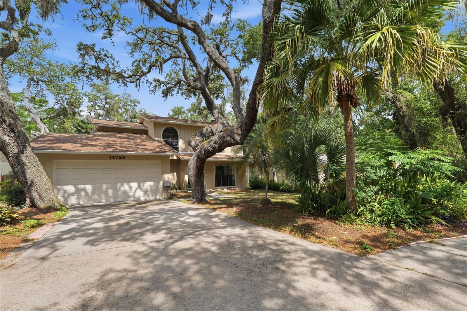 14728 TALL TREE DR, LUTZ, FL, 33559