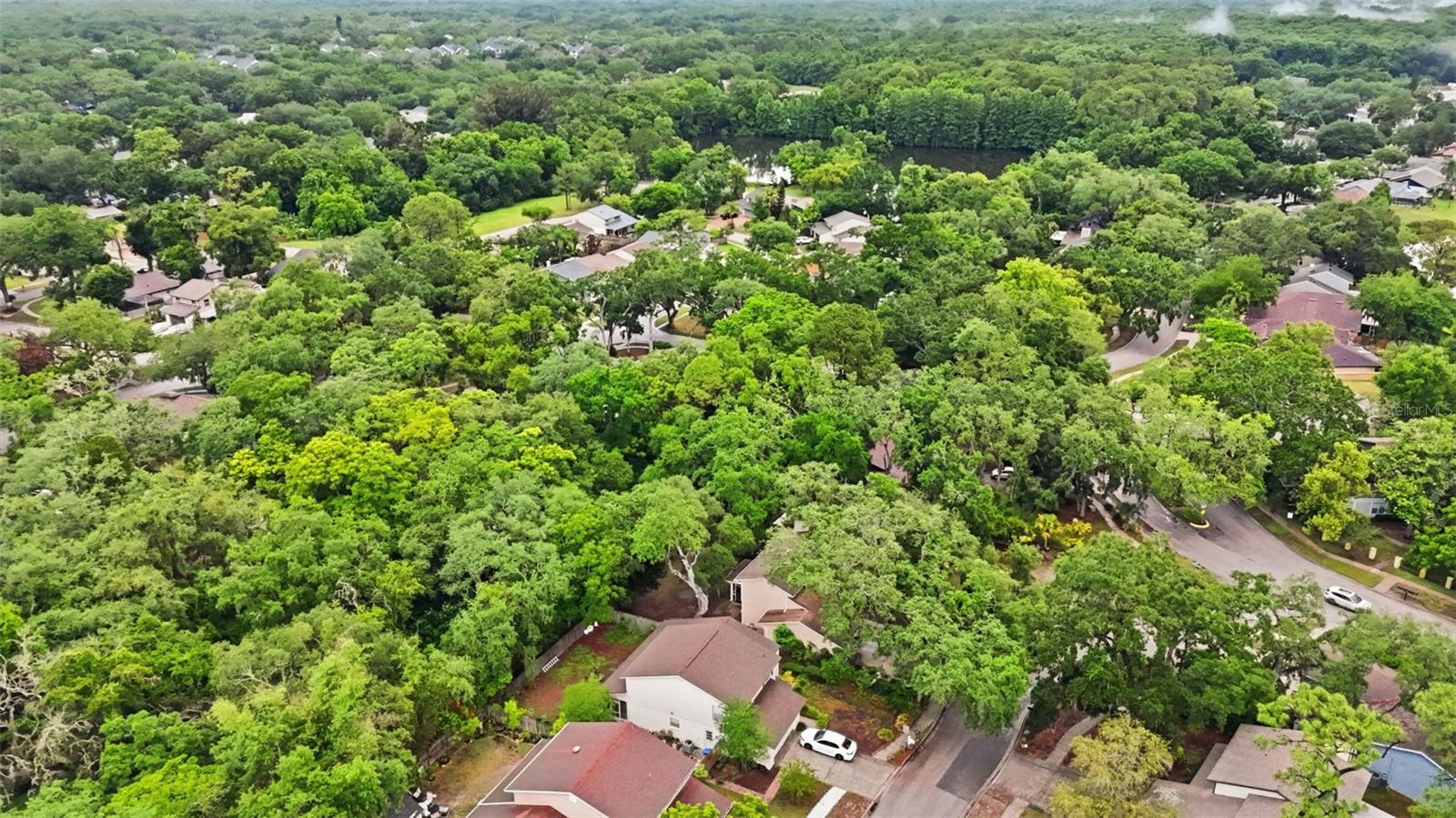 14728 TALL TREE DR, LUTZ, FL, 33559