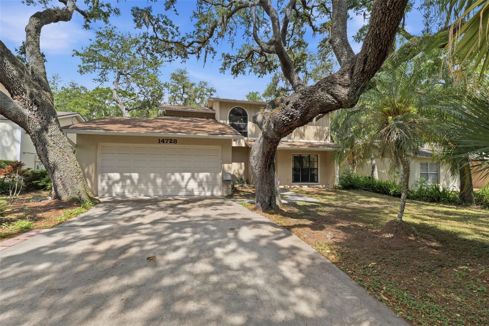14728 TALL TREE DR, LUTZ, FL, 33559