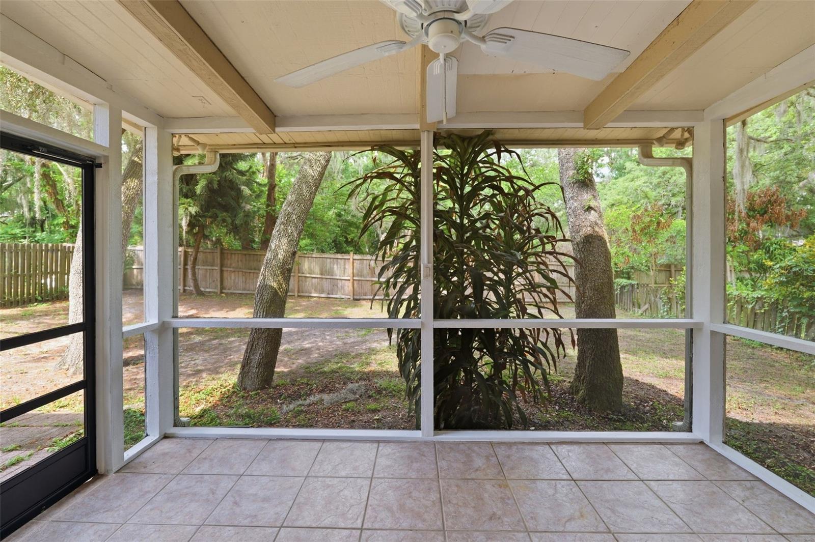 14728 TALL TREE DR, LUTZ, FL, 33559
