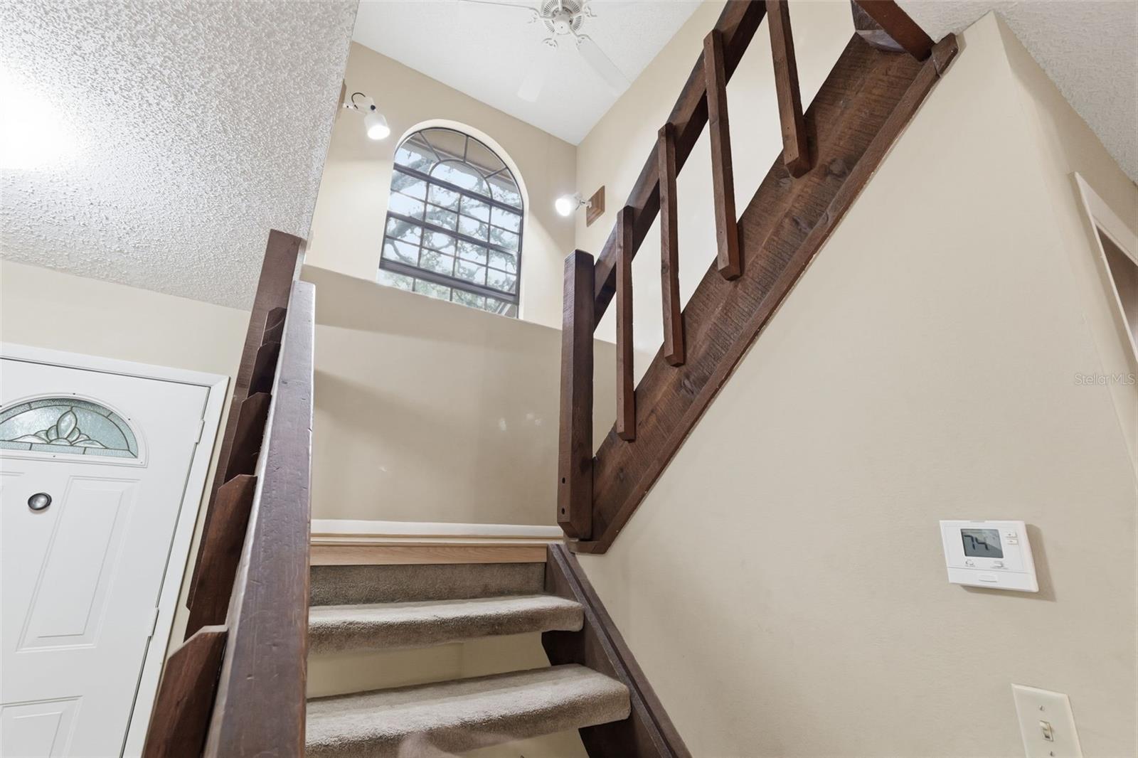 14728 TALL TREE DR, LUTZ, FL, 33559
