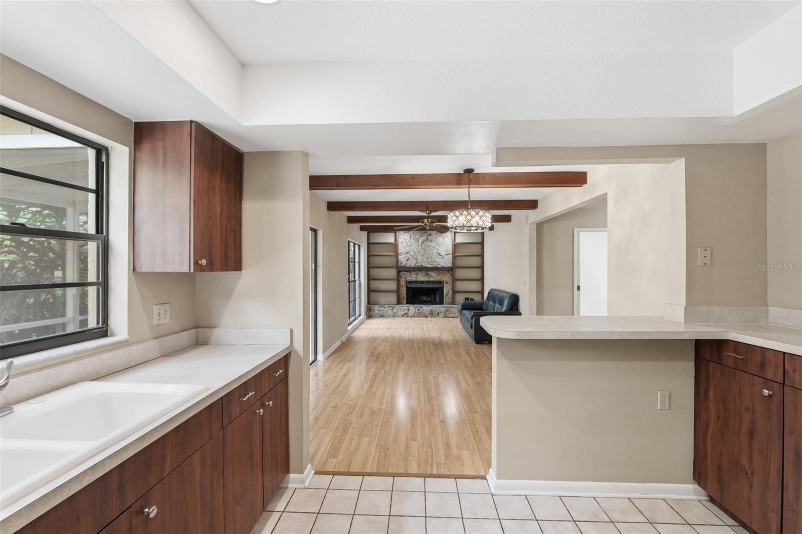 14728 TALL TREE DR, LUTZ, FL, 33559