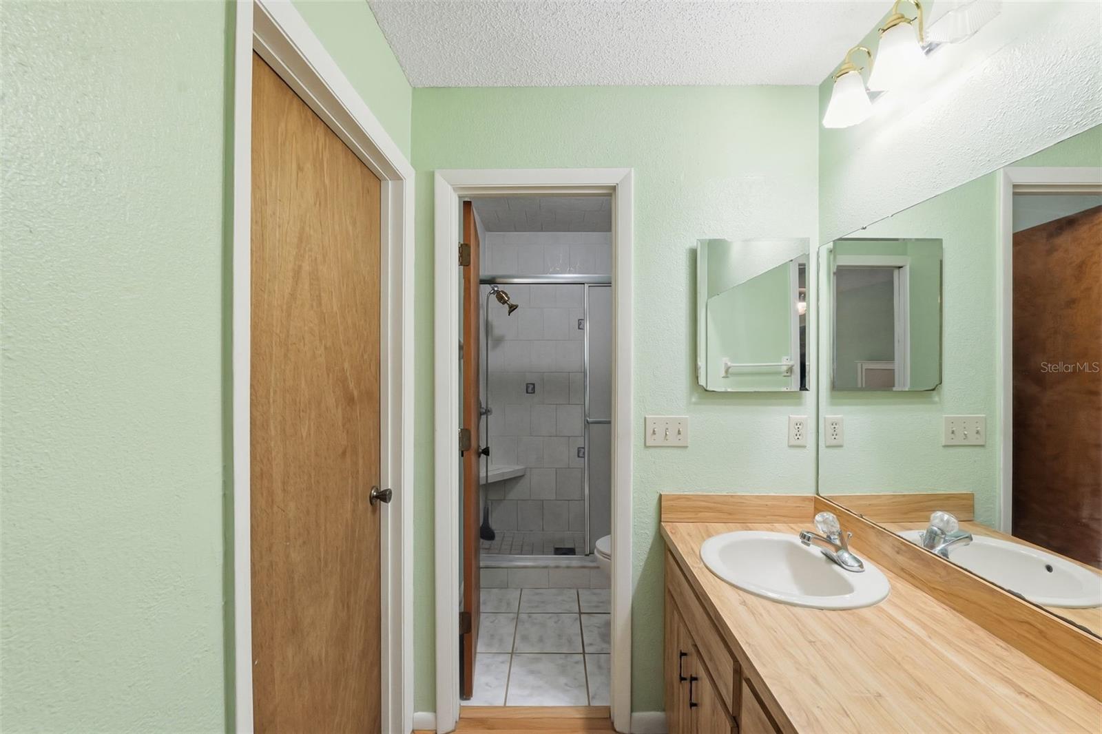 14728 TALL TREE DR, LUTZ, FL, 33559