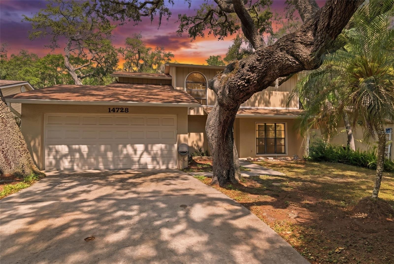14728 TALL TREE DR, LUTZ, FL, 33559