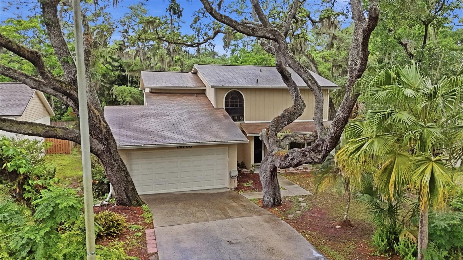 14728 TALL TREE DR, LUTZ, FL, 33559