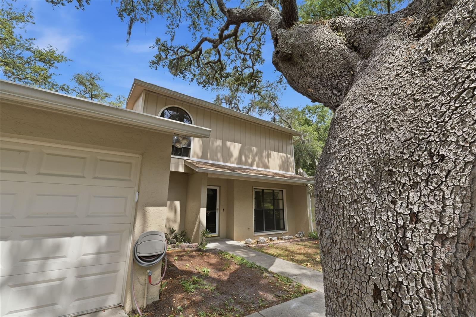 14728 TALL TREE DR, LUTZ, FL, 33559