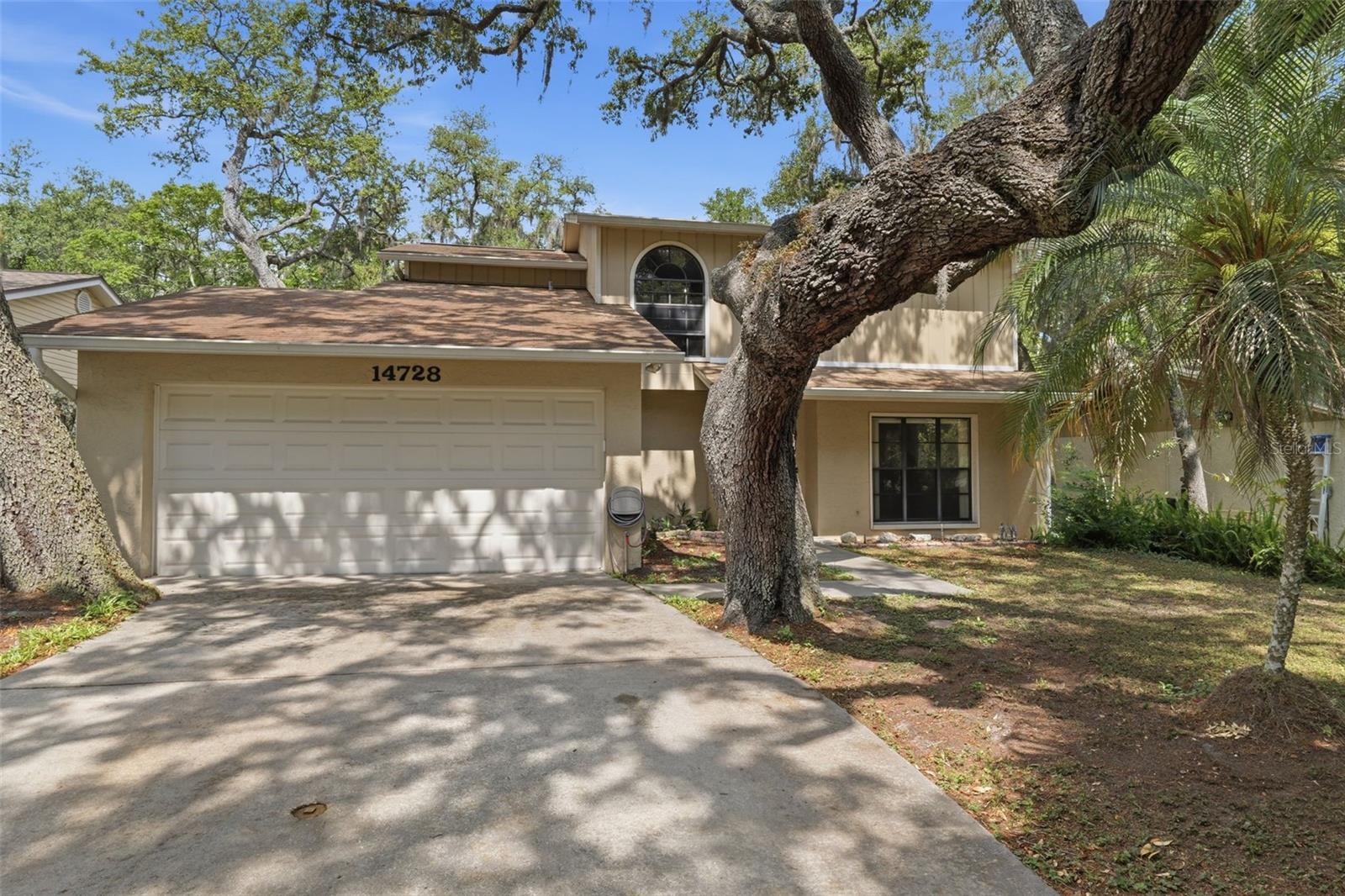 14728 TALL TREE DR, LUTZ, FL, 33559