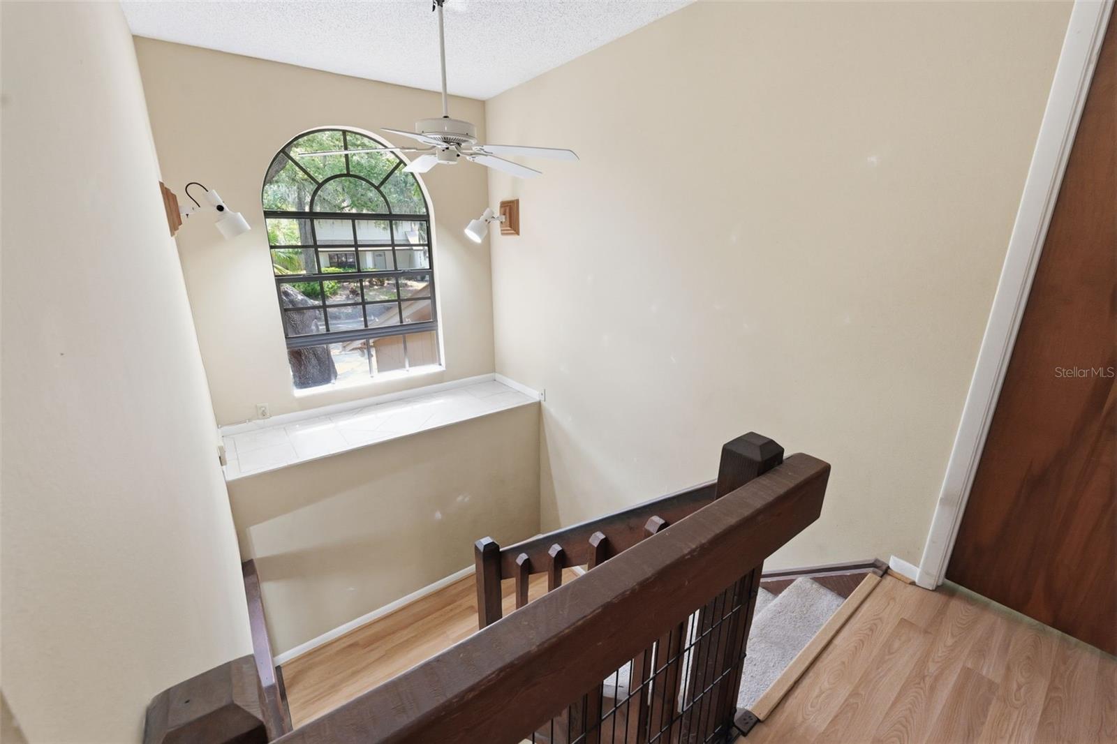 14728 TALL TREE DR, LUTZ, FL, 33559