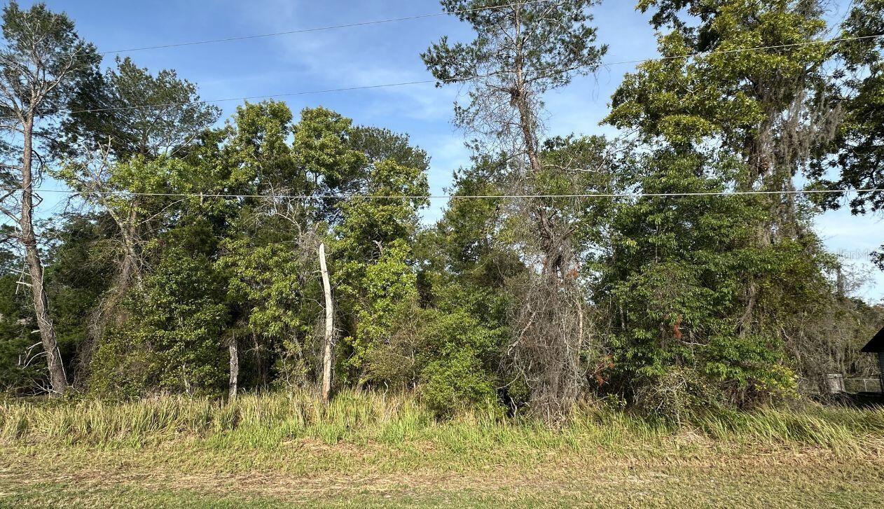 0 OLIVE CIR, OCALA, FL, 34472