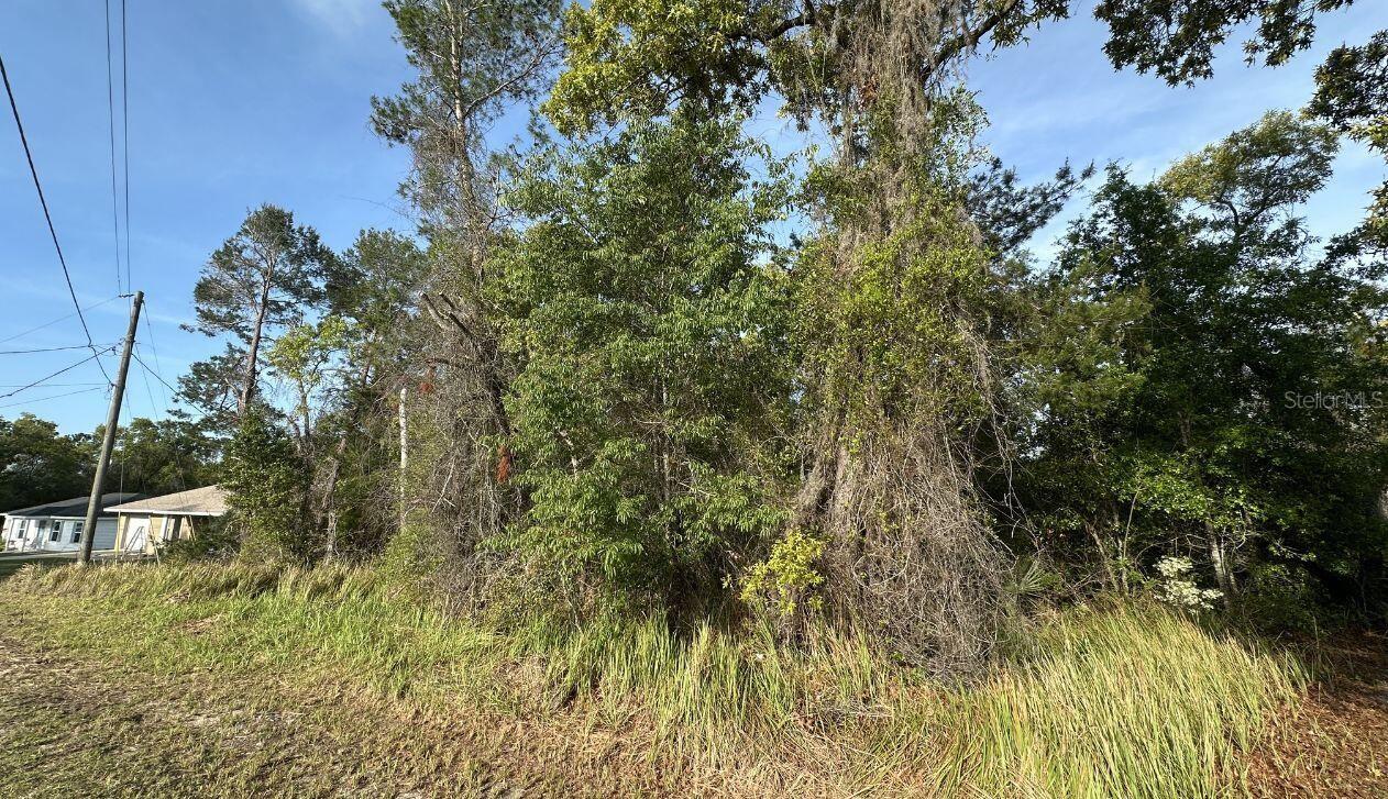 0 OLIVE CIR, OCALA, FL, 34472