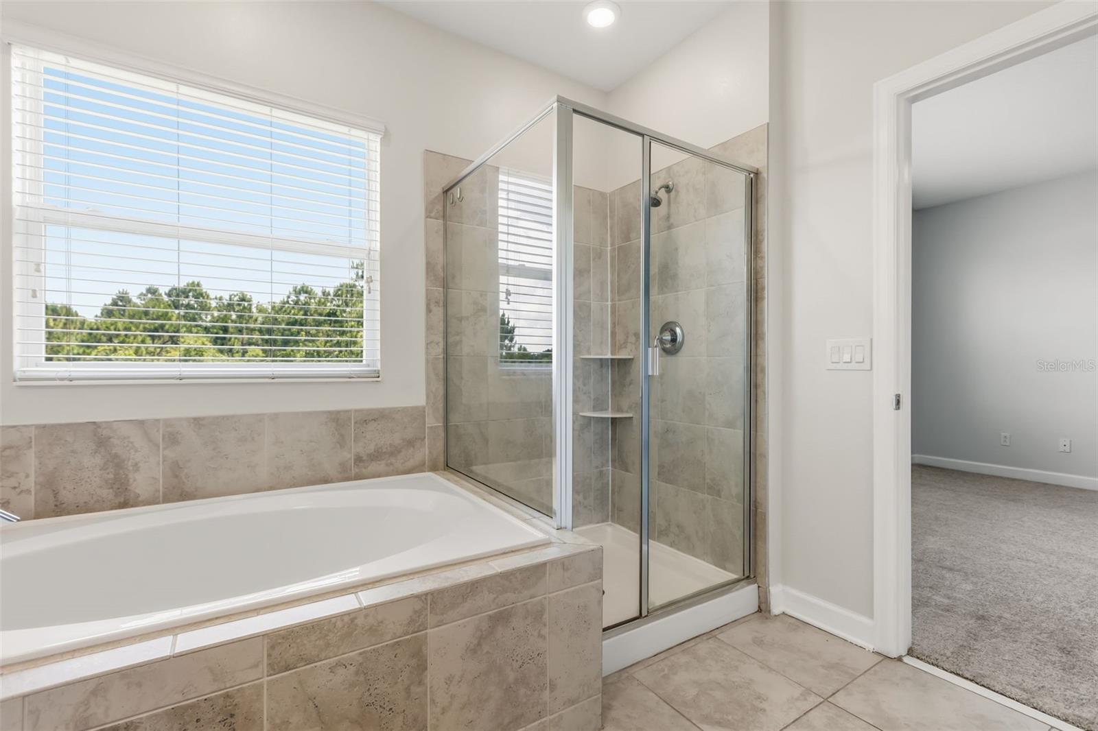 12313 TURTLE GRASS DR, ORLANDO, FL, 32824