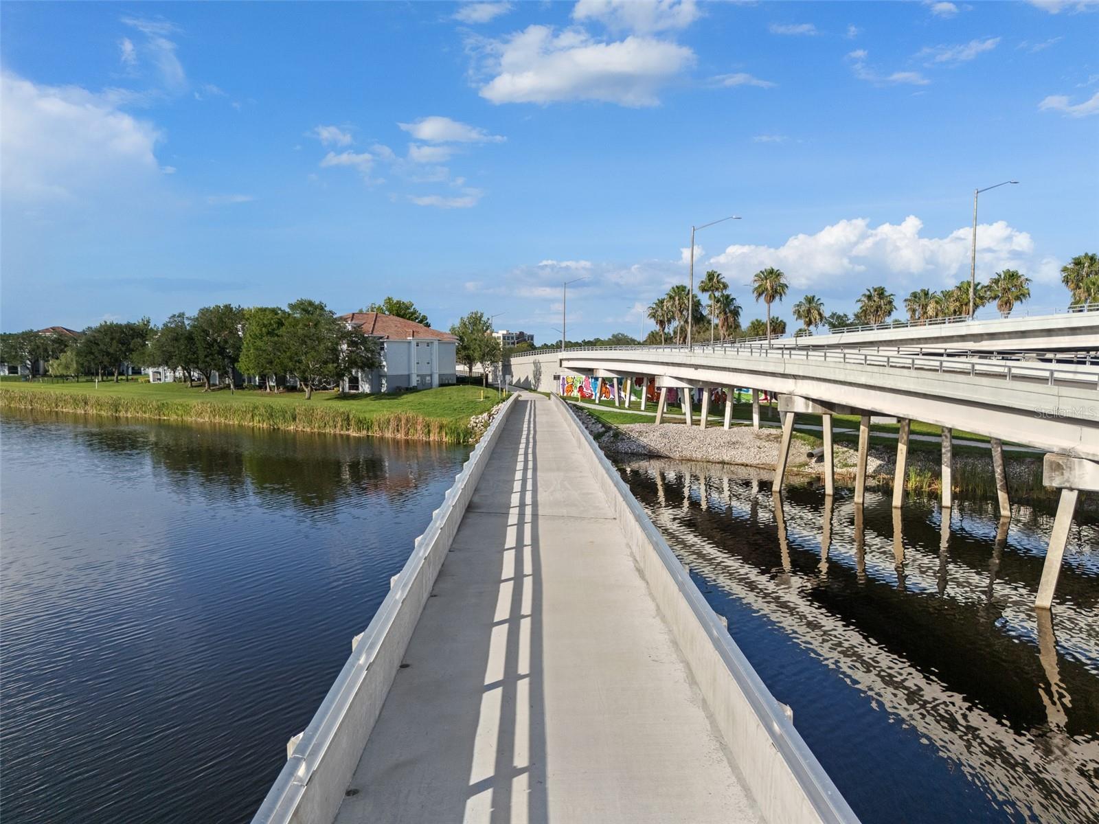 344 CASCADE LN, PALM HARBOR, FL, 34684