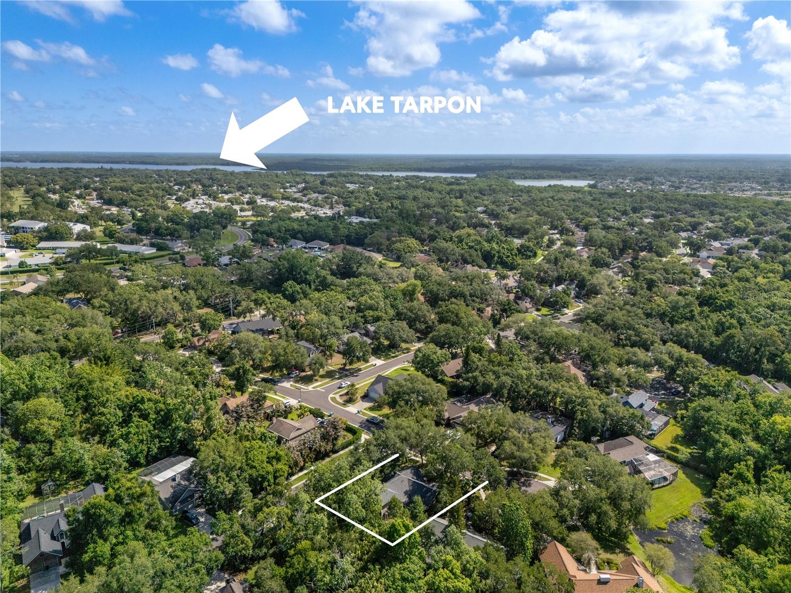 344 CASCADE LN, PALM HARBOR, FL, 34684