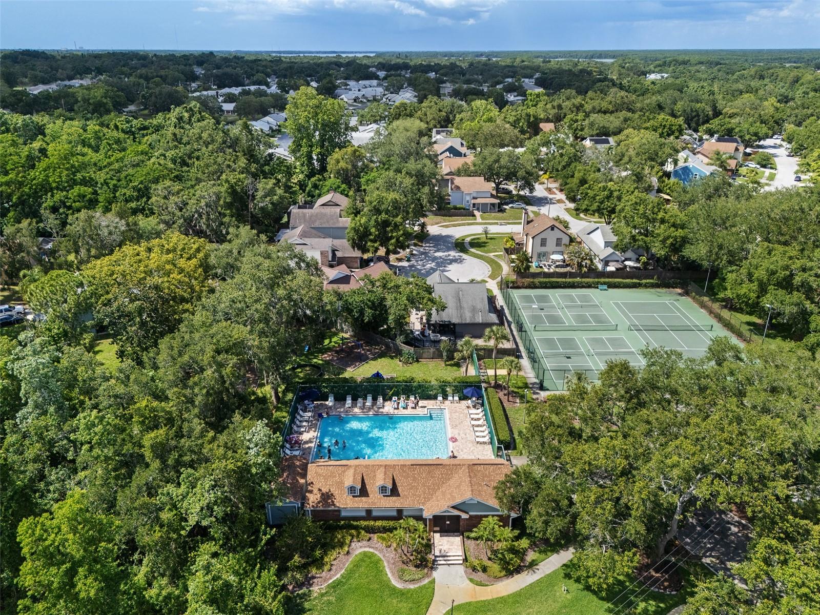 344 CASCADE LN, PALM HARBOR, FL, 34684