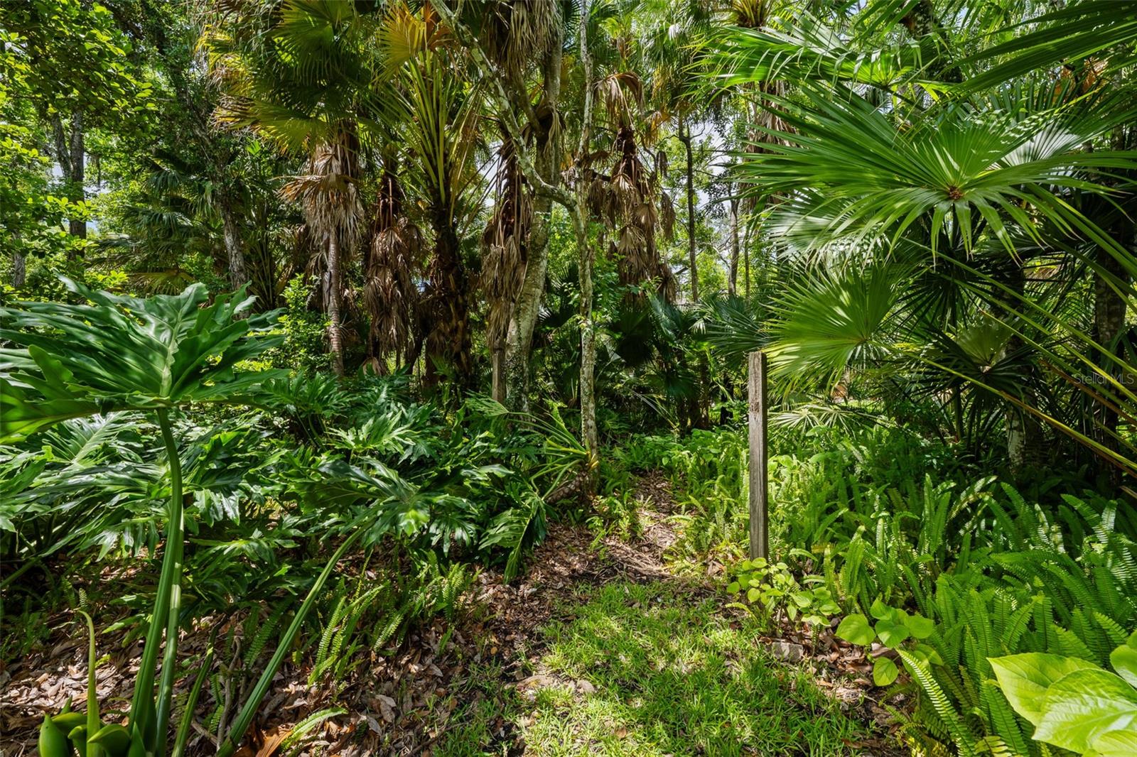 344 CASCADE LN, PALM HARBOR, FL, 34684