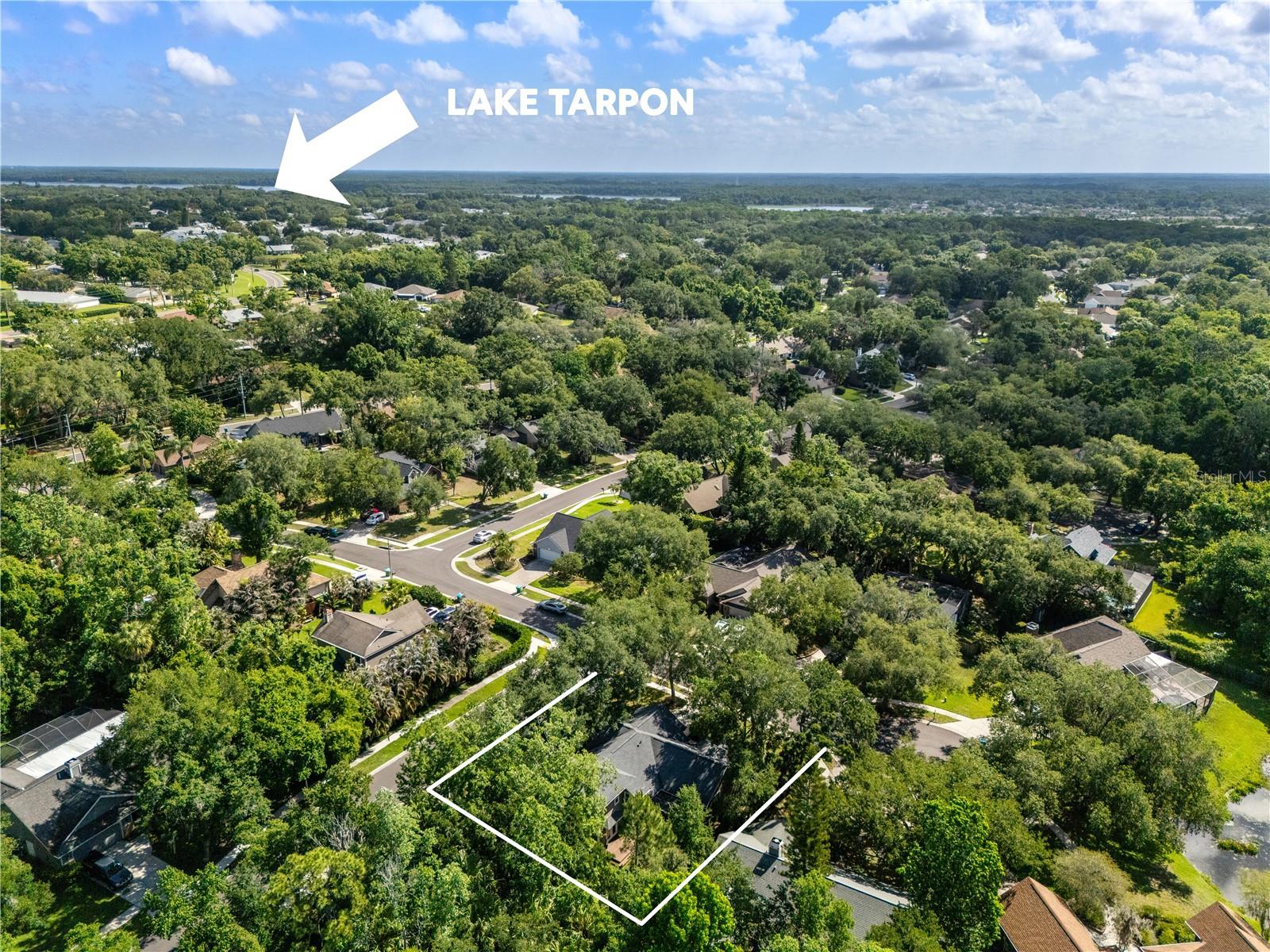 344 CASCADE LN, PALM HARBOR, FL, 34684