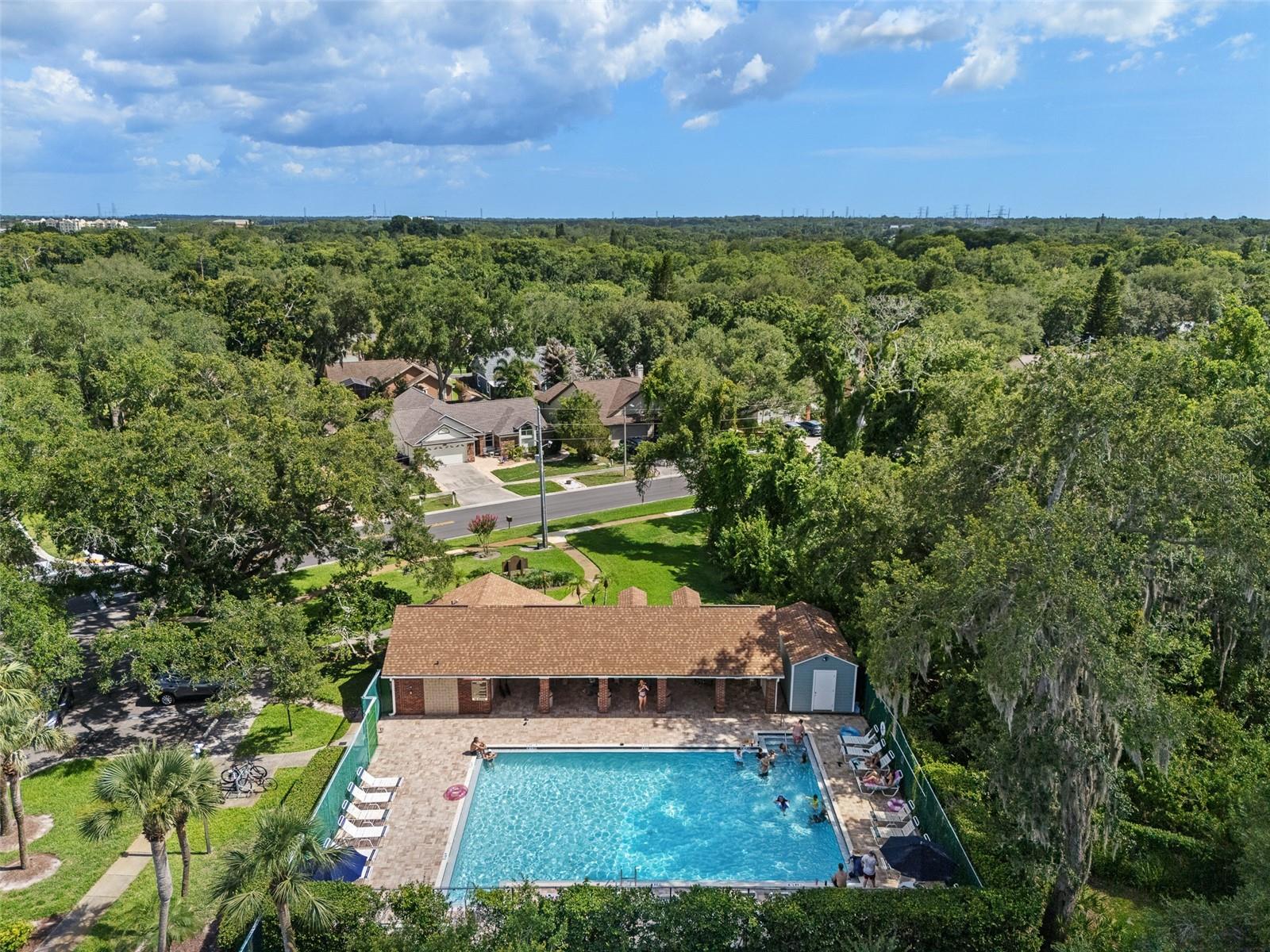 344 CASCADE LN, PALM HARBOR, FL, 34684