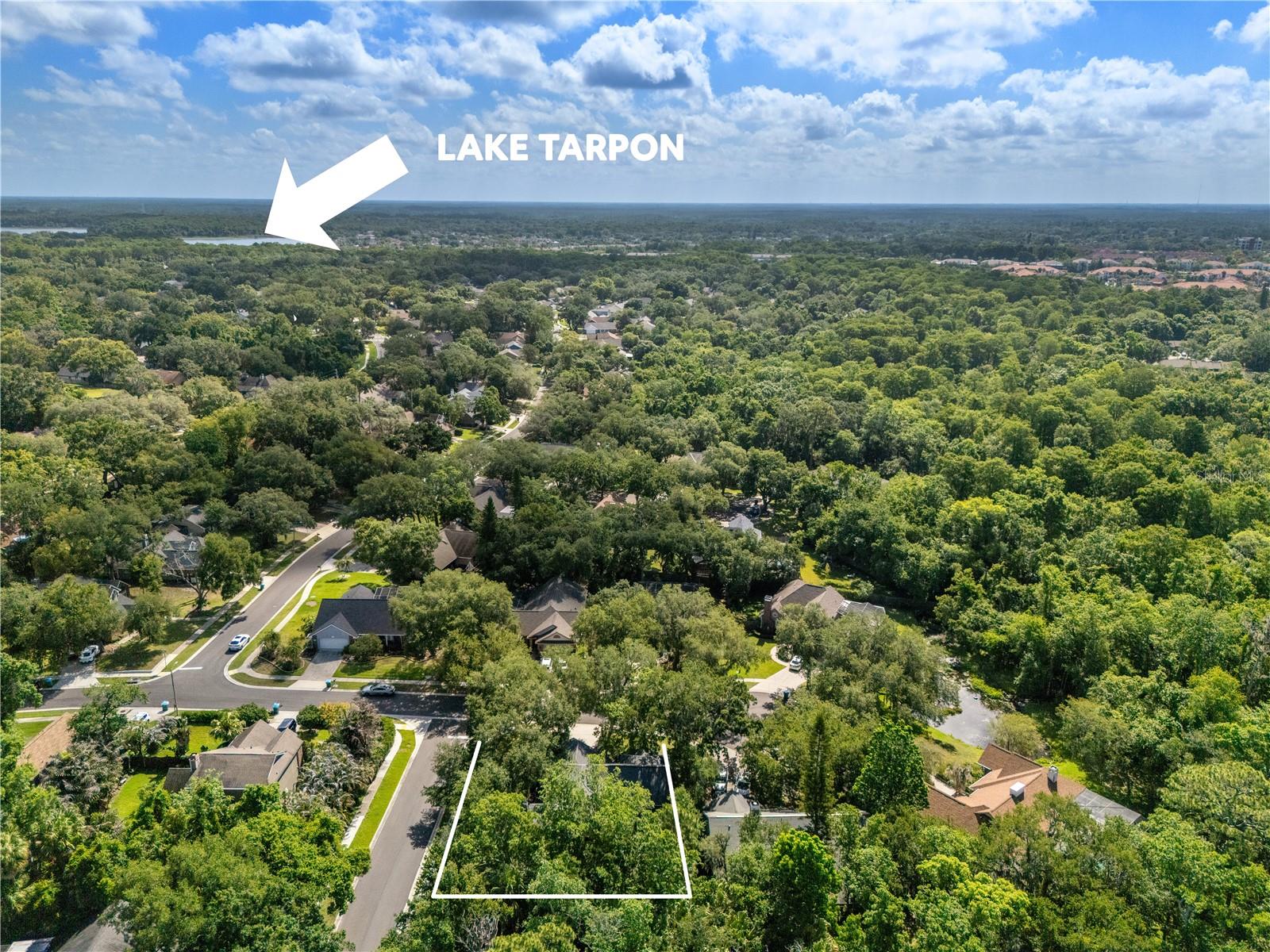 344 CASCADE LN, PALM HARBOR, FL, 34684
