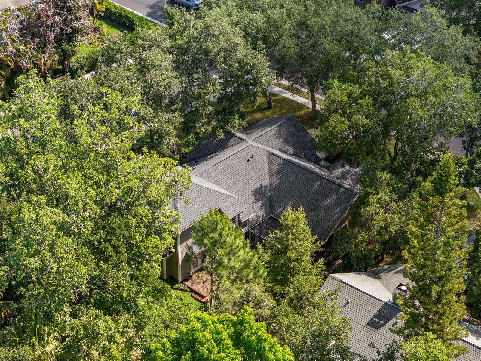 344 CASCADE LN, PALM HARBOR, FL, 34684