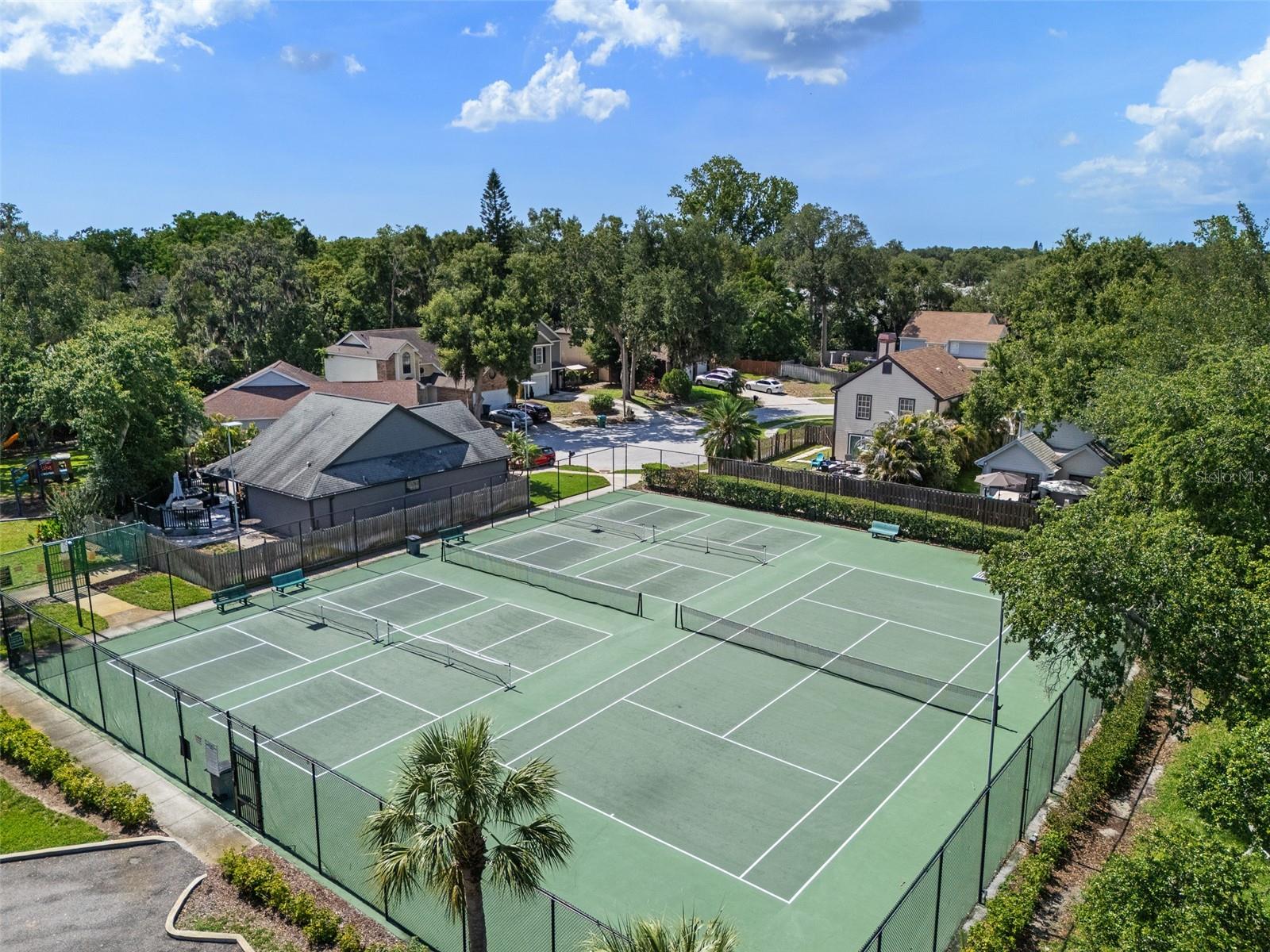 344 CASCADE LN, PALM HARBOR, FL, 34684