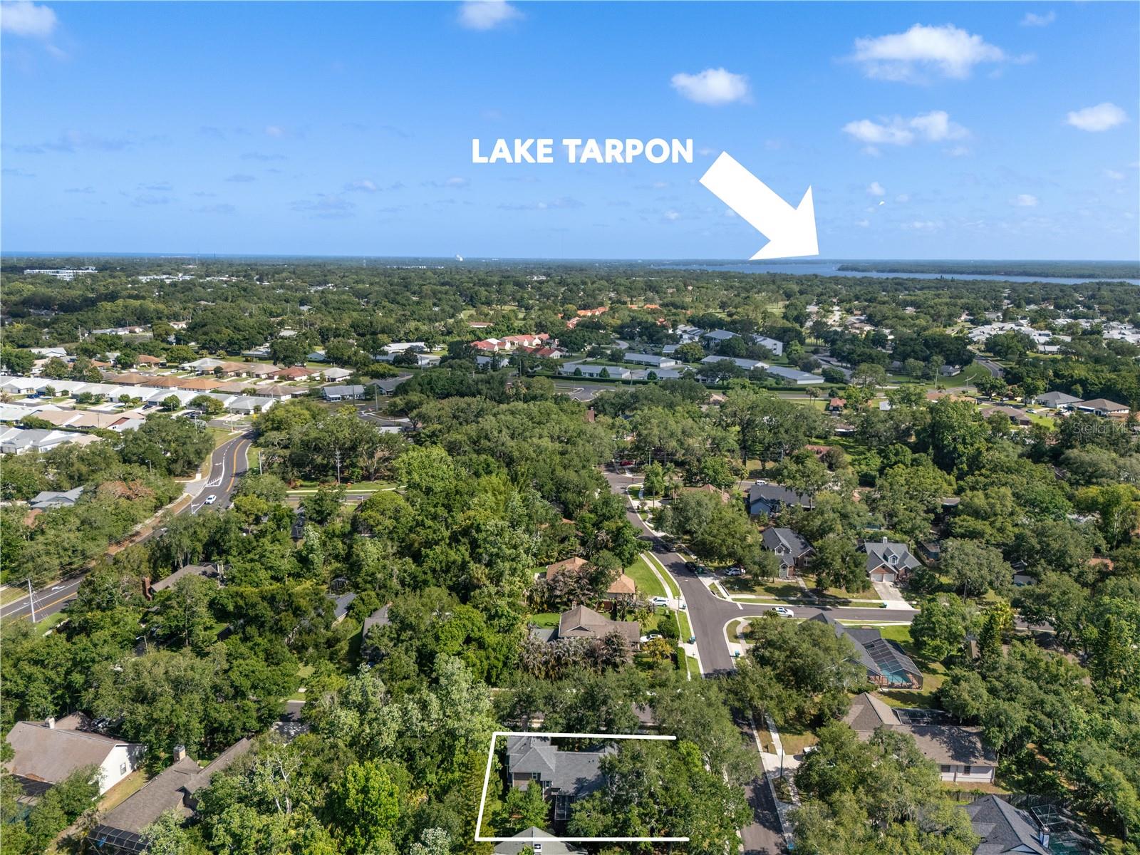 344 CASCADE LN, PALM HARBOR, FL, 34684