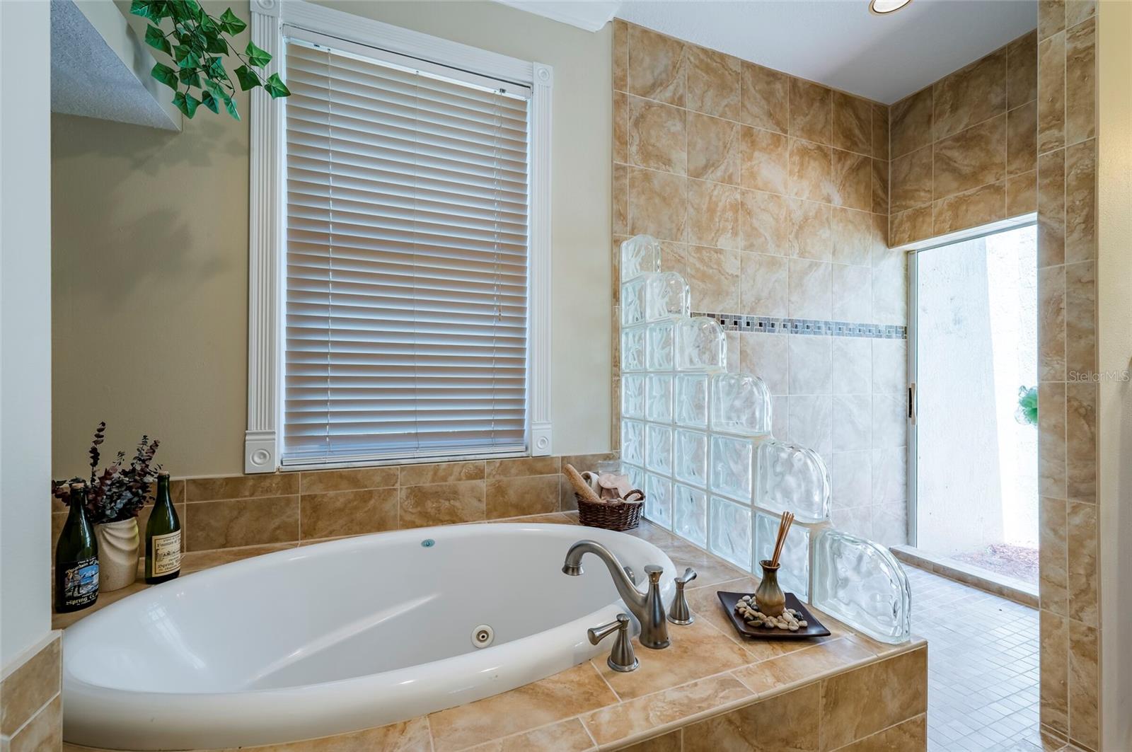 22754 MAGNOLIA TRACE BLVD, LUTZ, FL, 33549