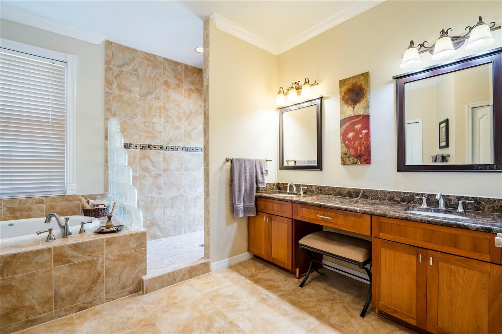 22754 MAGNOLIA TRACE BLVD, LUTZ, FL, 33549